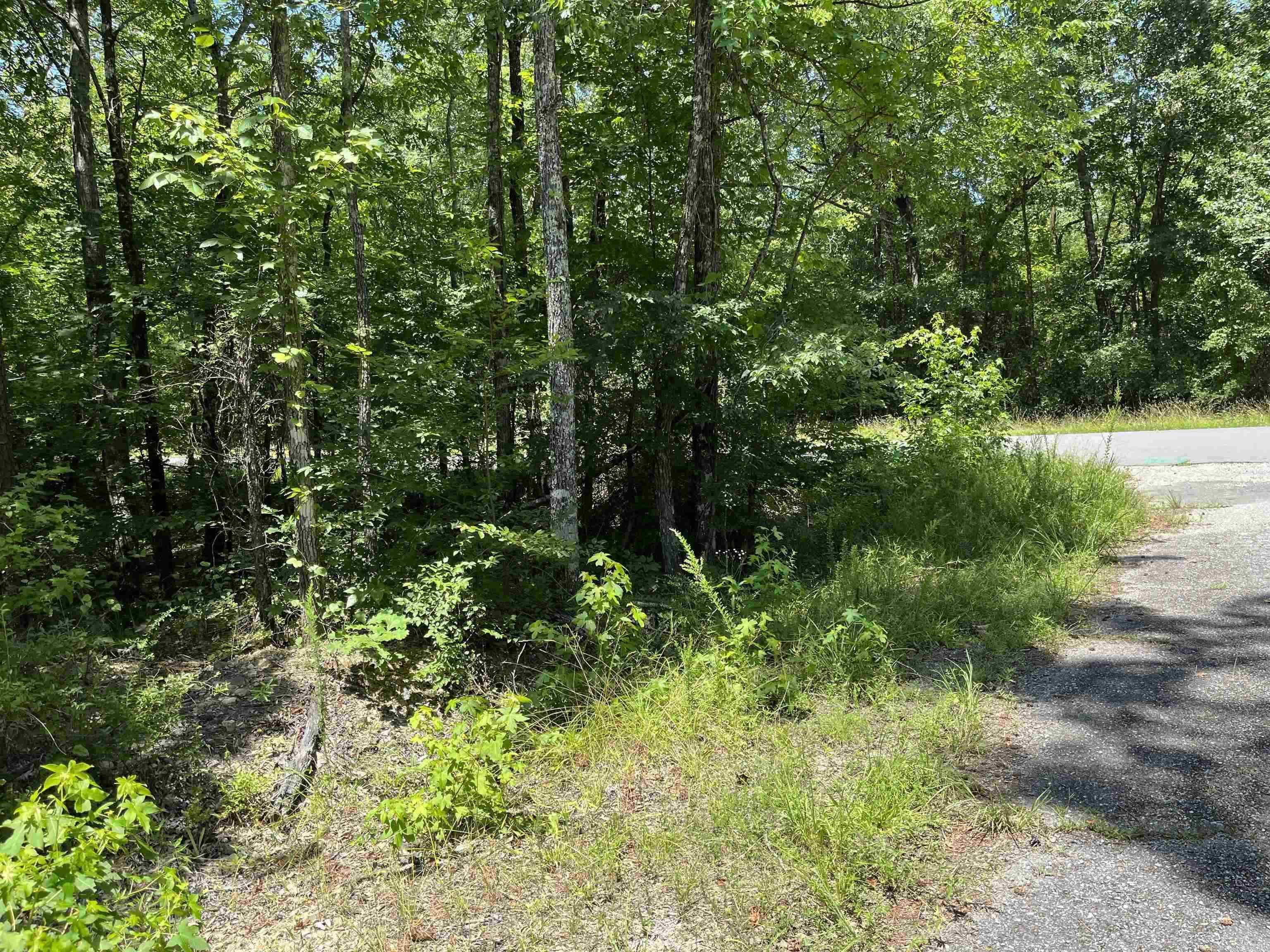 Photo 2 - Vacant Land for sale – 2  Murillo Circle   Hot Springs Village, AR