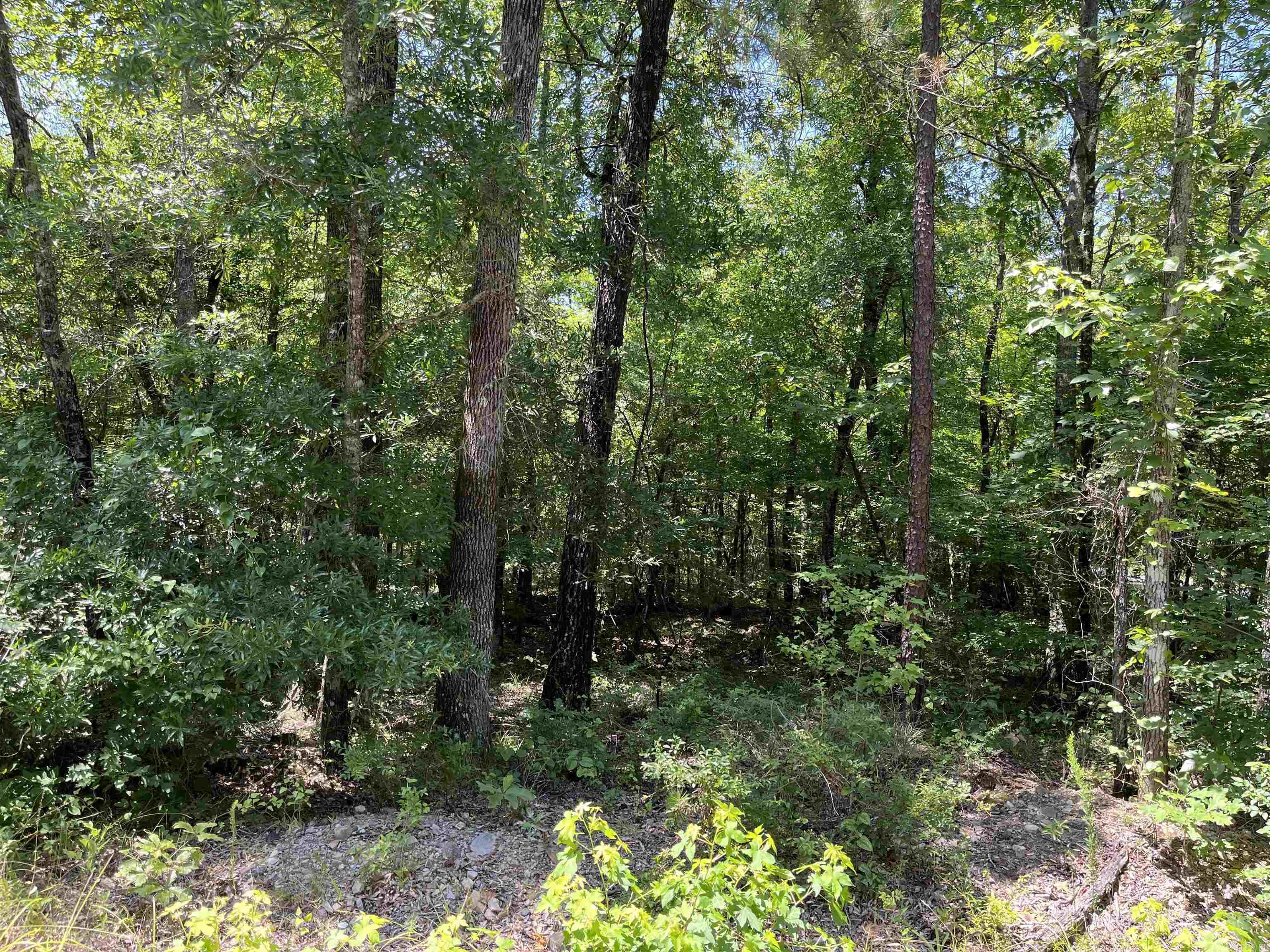 Photo 3 - Vacant Land for sale – 2  Murillo Circle   Hot Springs Village, AR