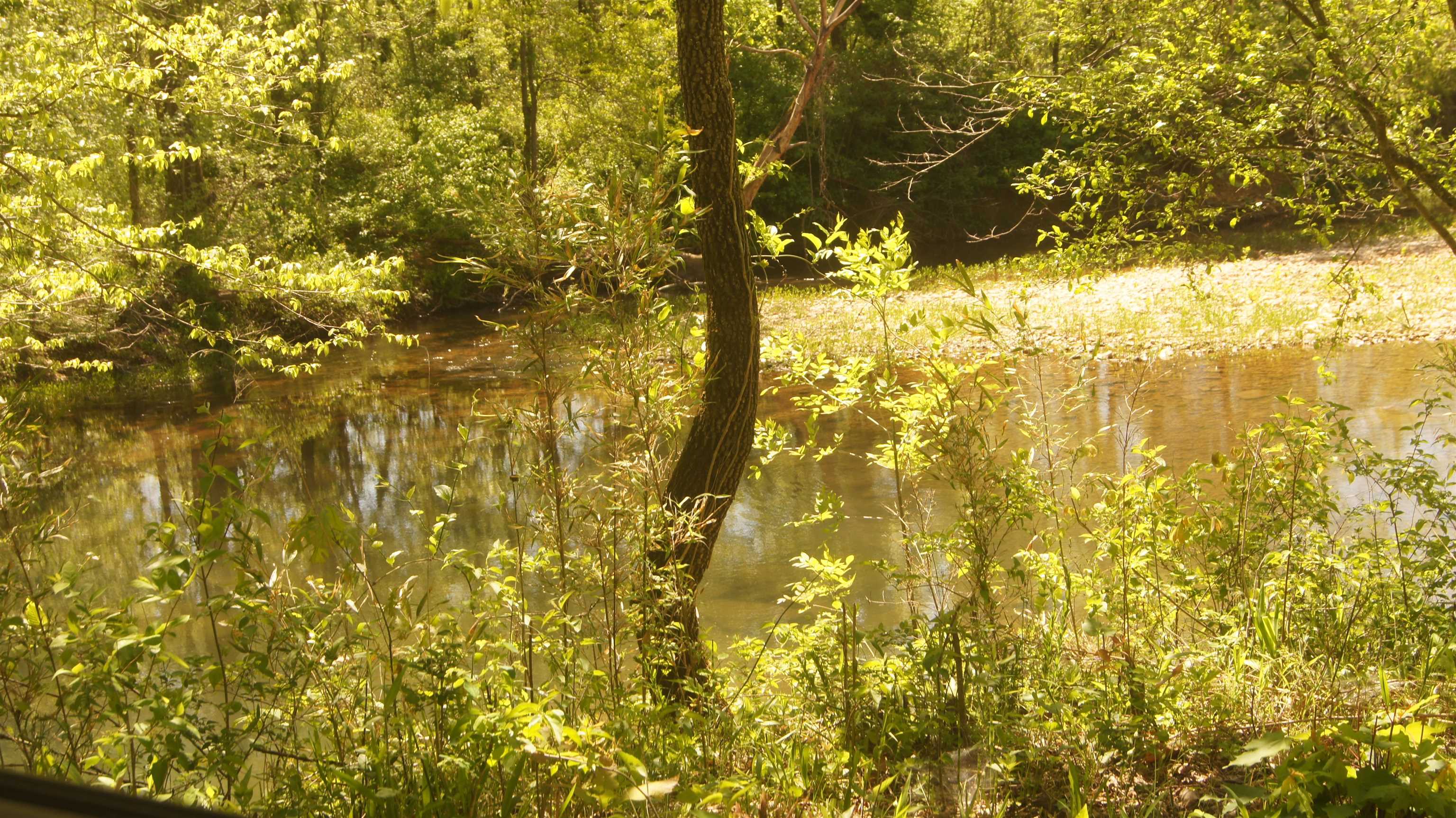 Photo 3 - Vacant Land for sale – Lot 1  Booth Creek Road   Williford, AR