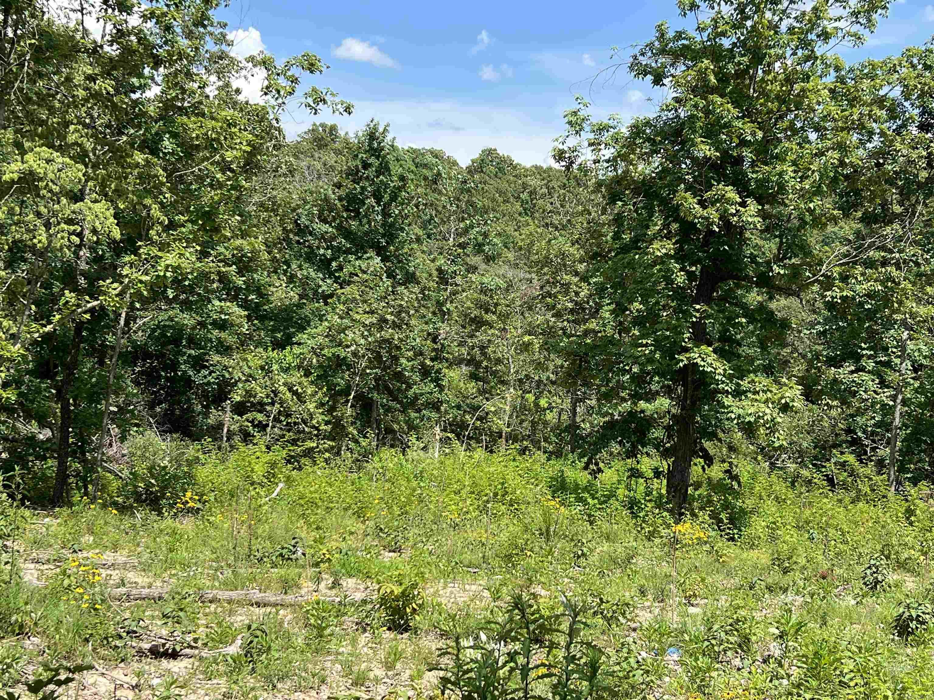 Vacant Land for sale – Lot 45  PR Ridge Haven   Mammoth Spring, AR