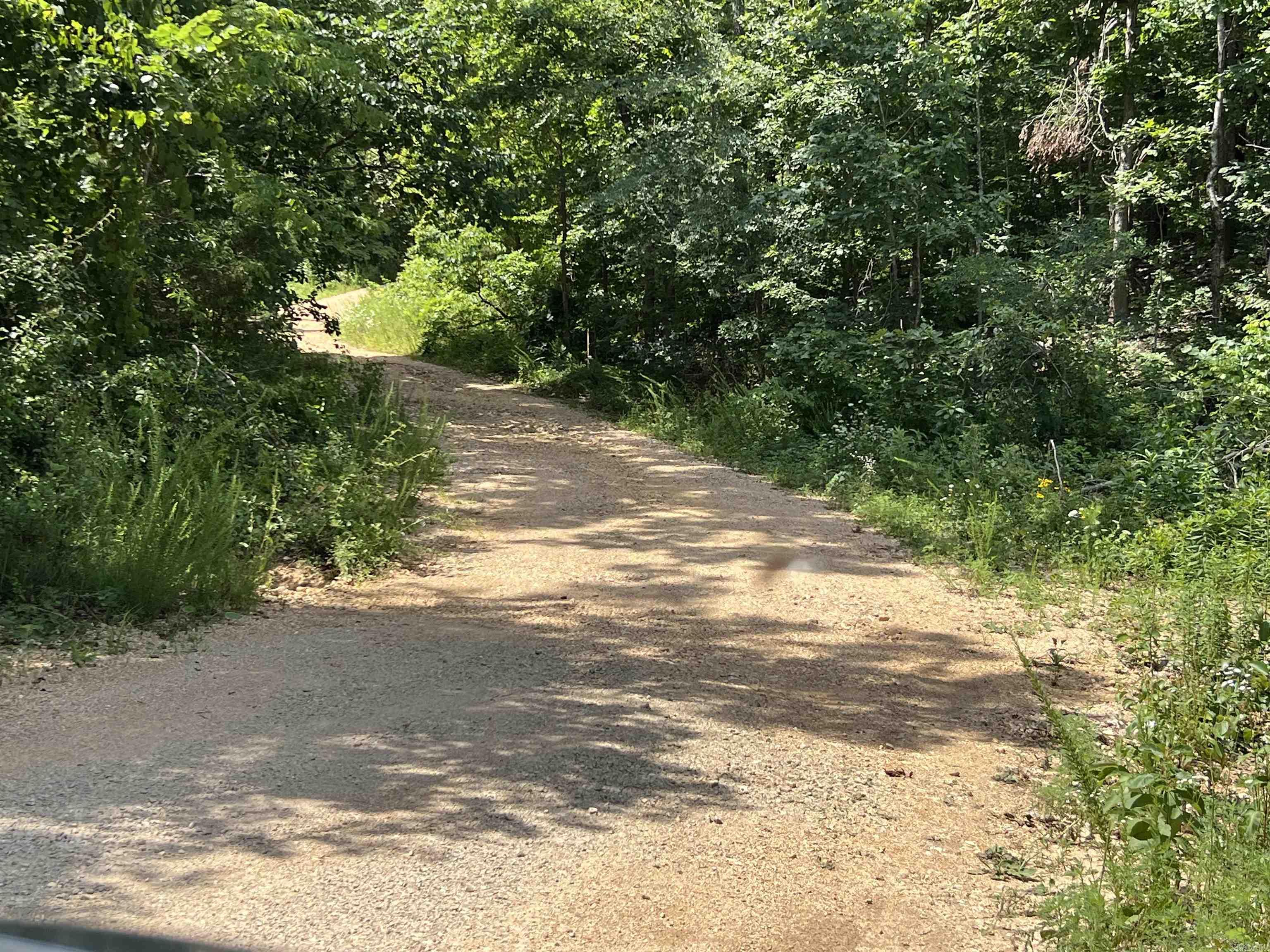 Photo 3 - Vacant Land for sale – Lot 45  PR Ridge Haven   Mammoth Spring, AR