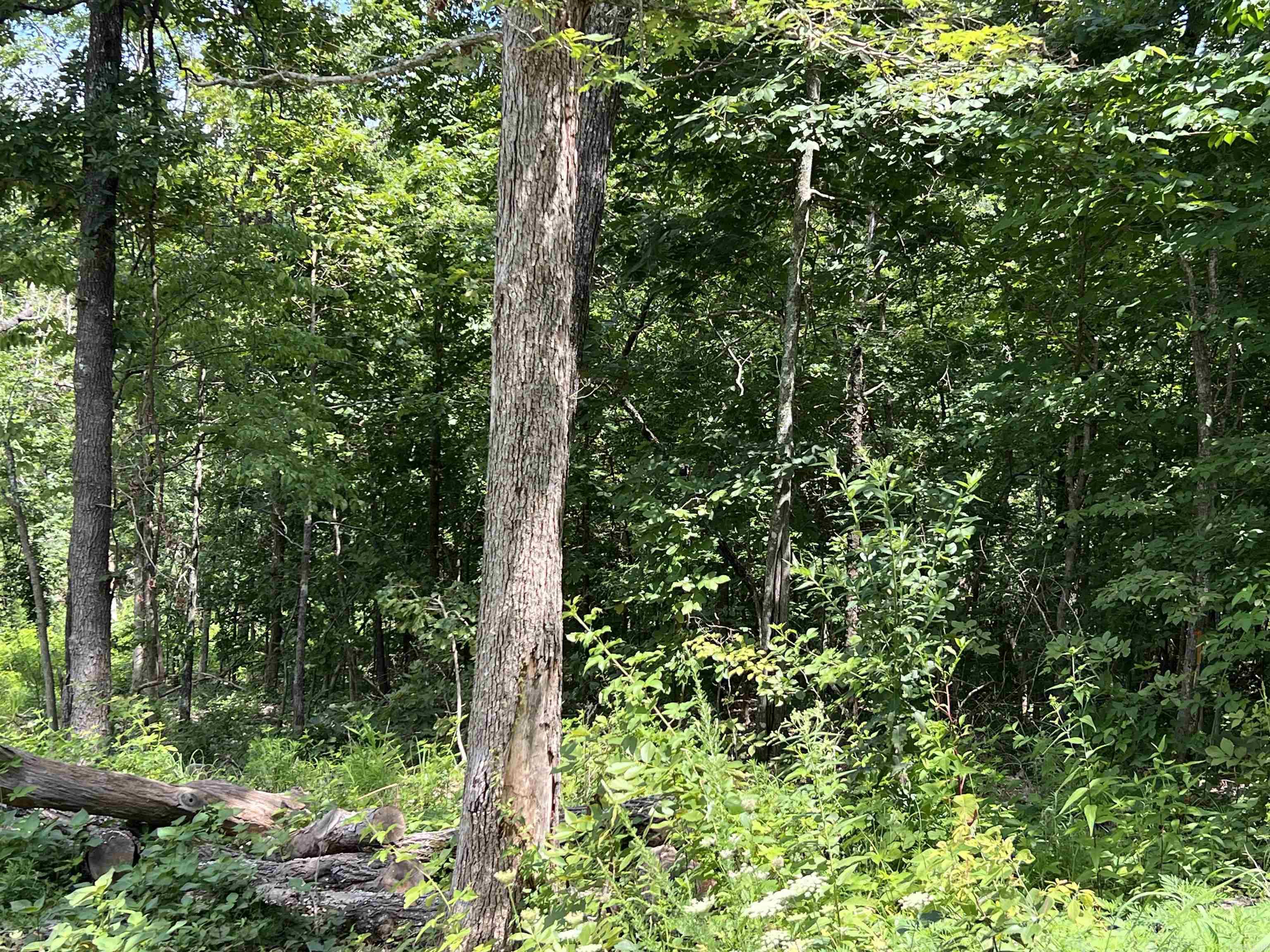 Photo 4 - Vacant Land for sale – Lot 45  PR Ridge Haven   Mammoth Spring, AR