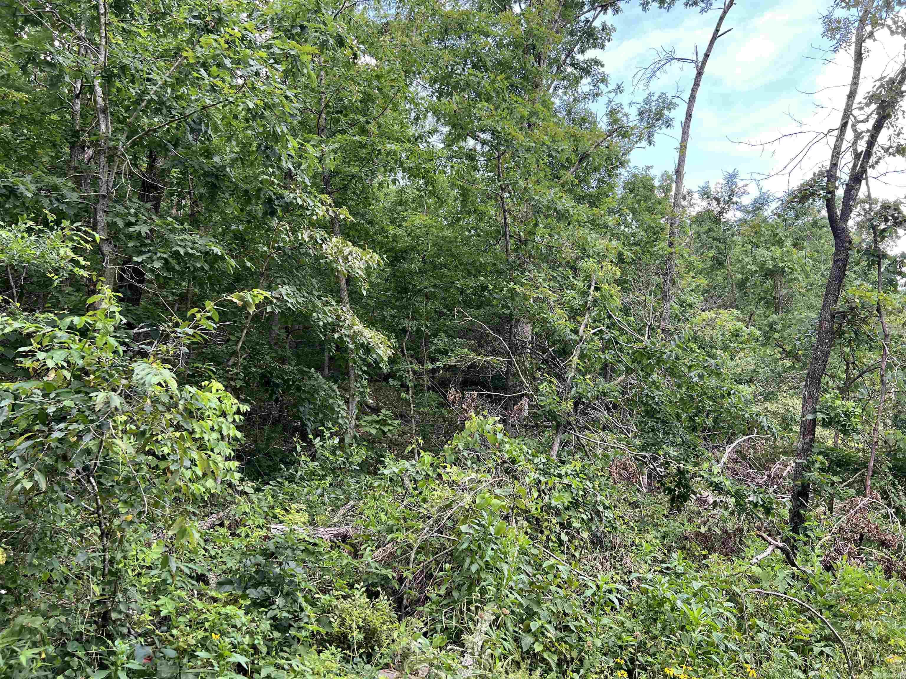 Photo 6 - Vacant Land for sale – Lot 45  PR Ridge Haven   Mammoth Spring, AR
