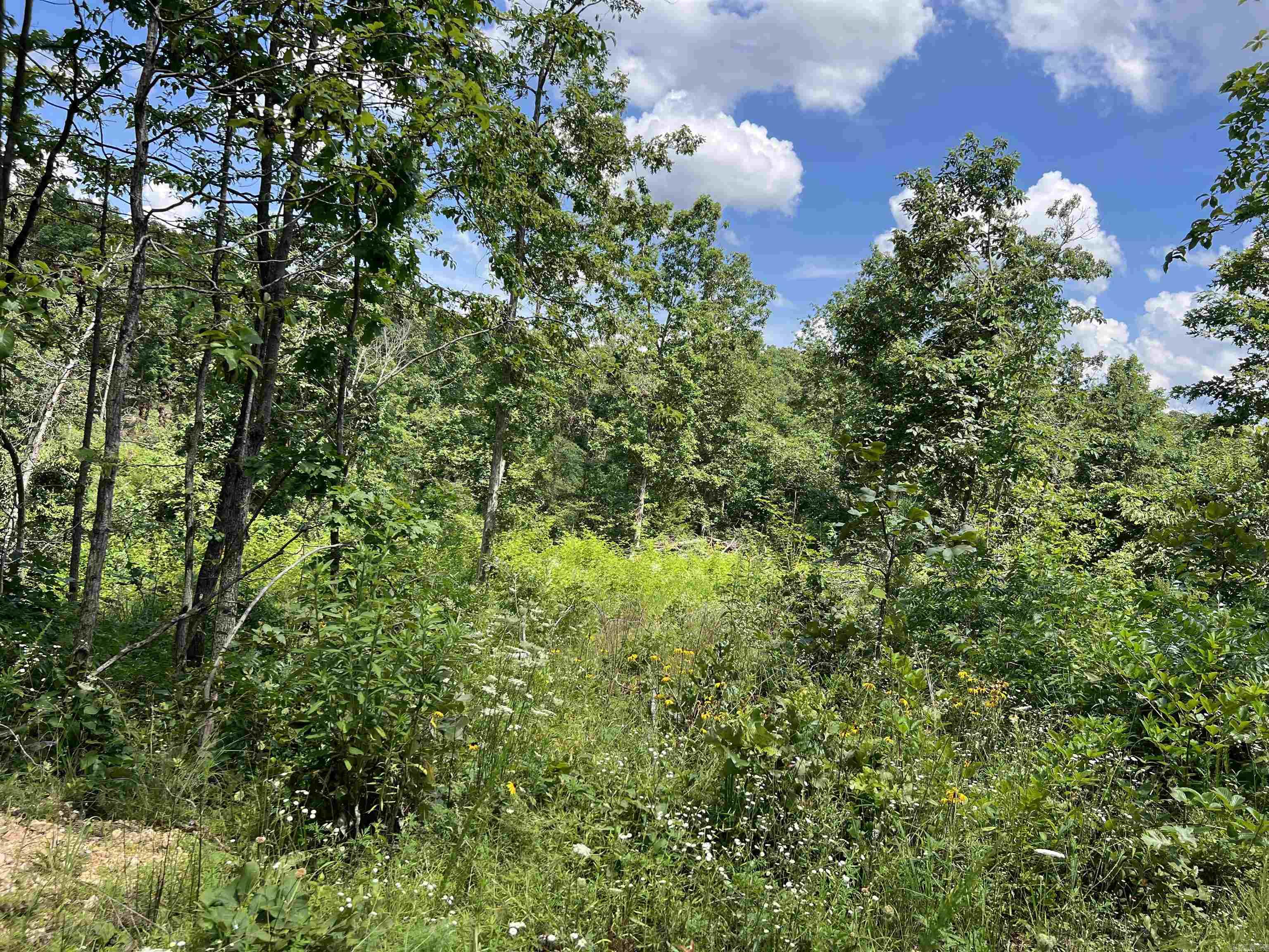 Photo 7 - Vacant Land for sale – Lot 45  PR Ridge Haven   Mammoth Spring, AR