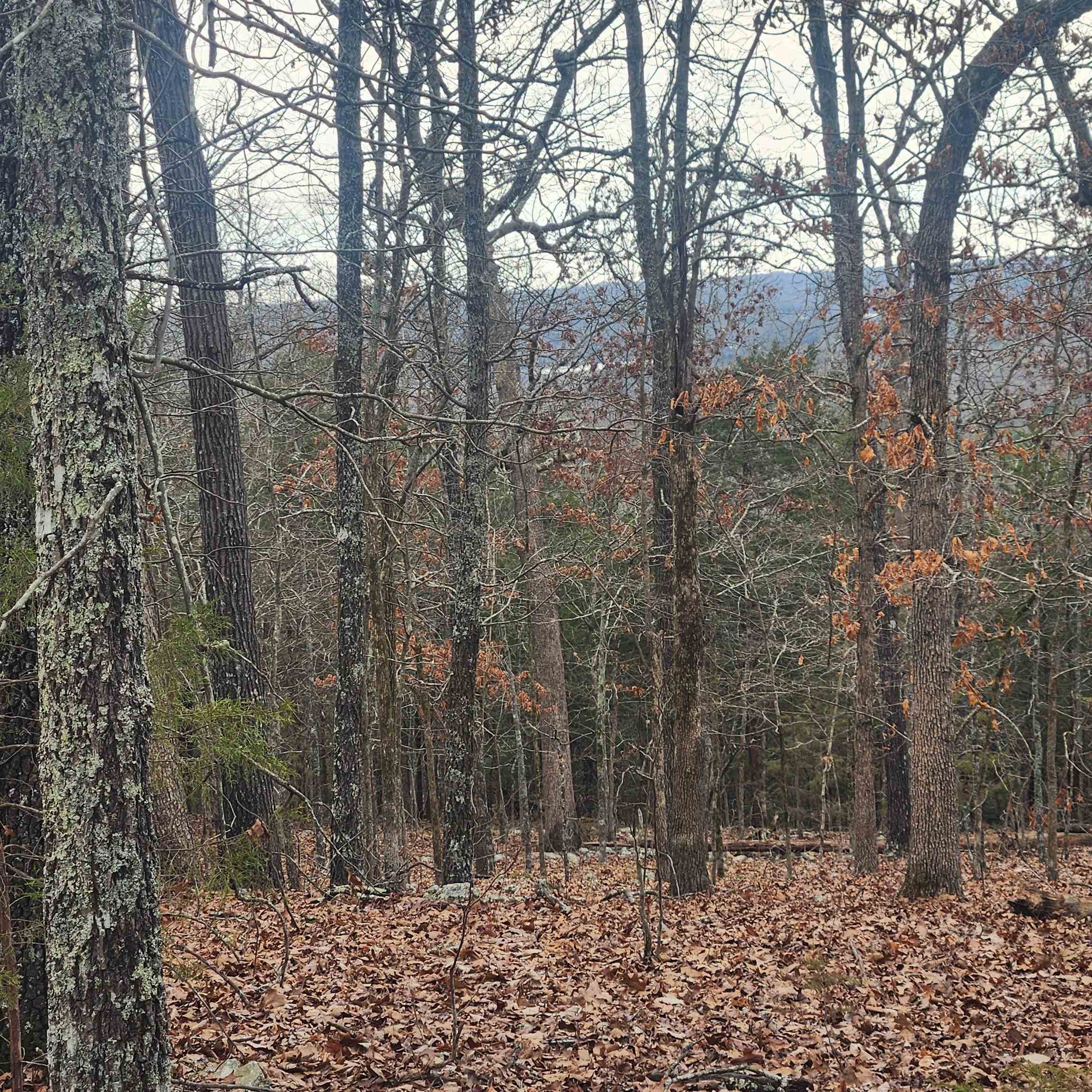 Photo 2 - Vacant Land for sale – L-8, B-3  Kee   Hardy, AR