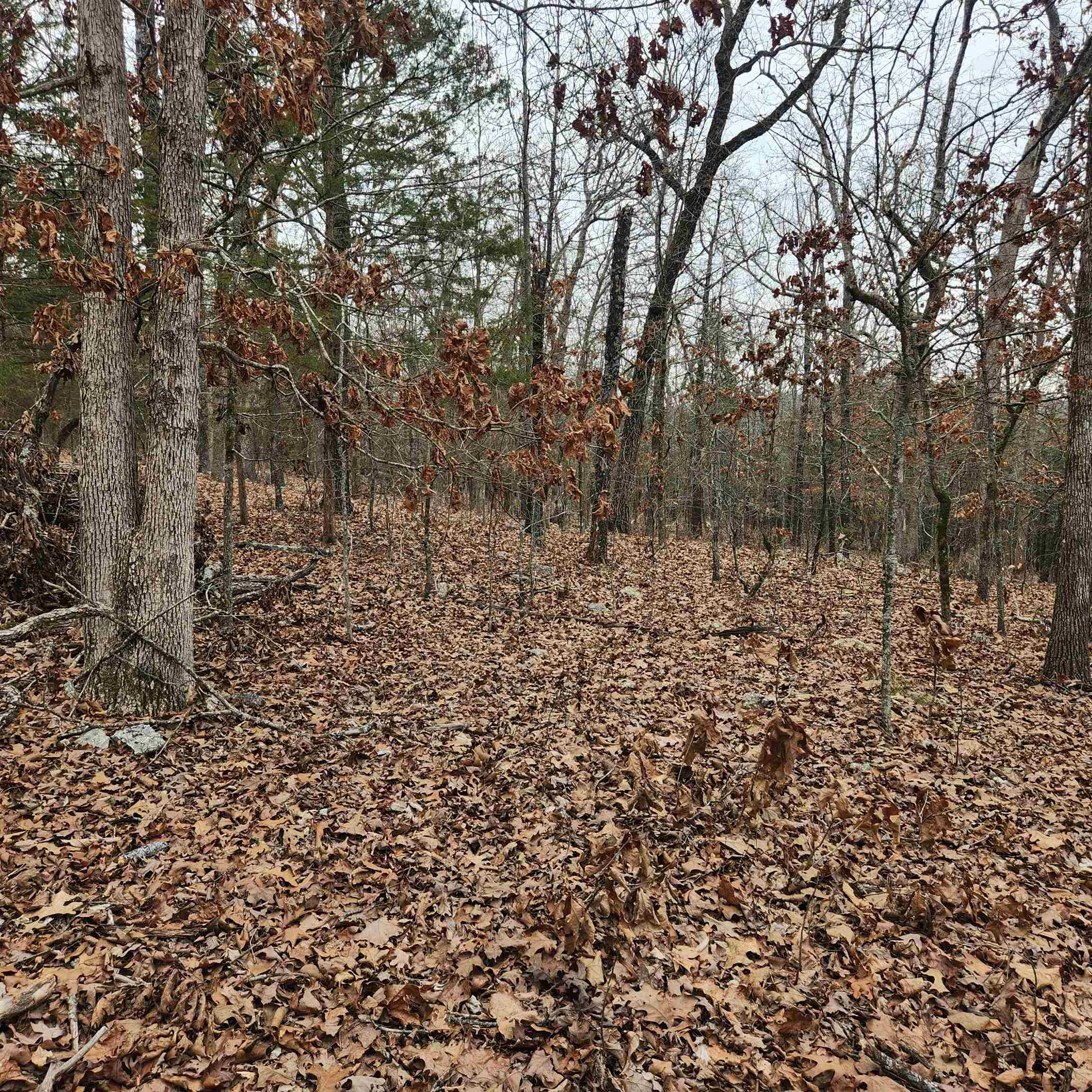 Photo 11 - Vacant Land for sale – L-8, B-3  Kee   Hardy, AR
