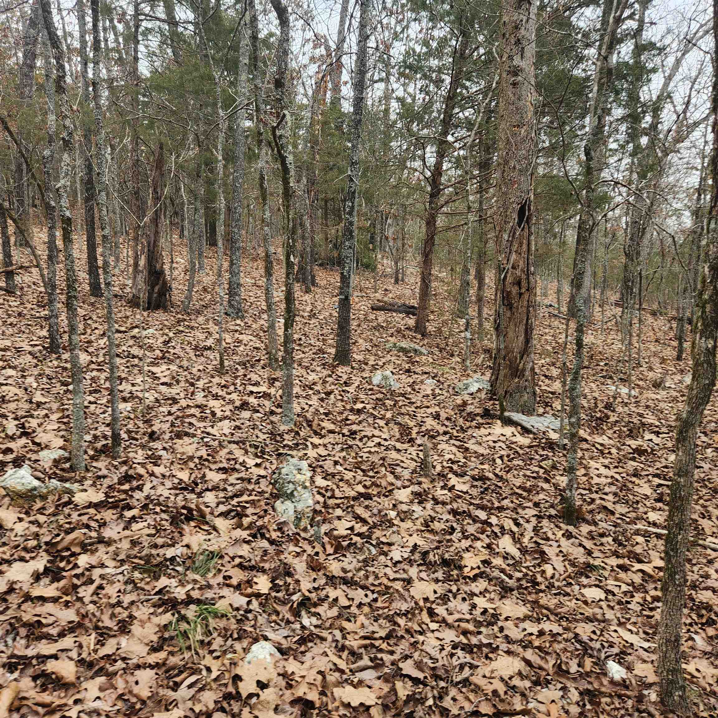 Photo 12 - Vacant Land for sale – L-8, B-3  Kee   Hardy, AR