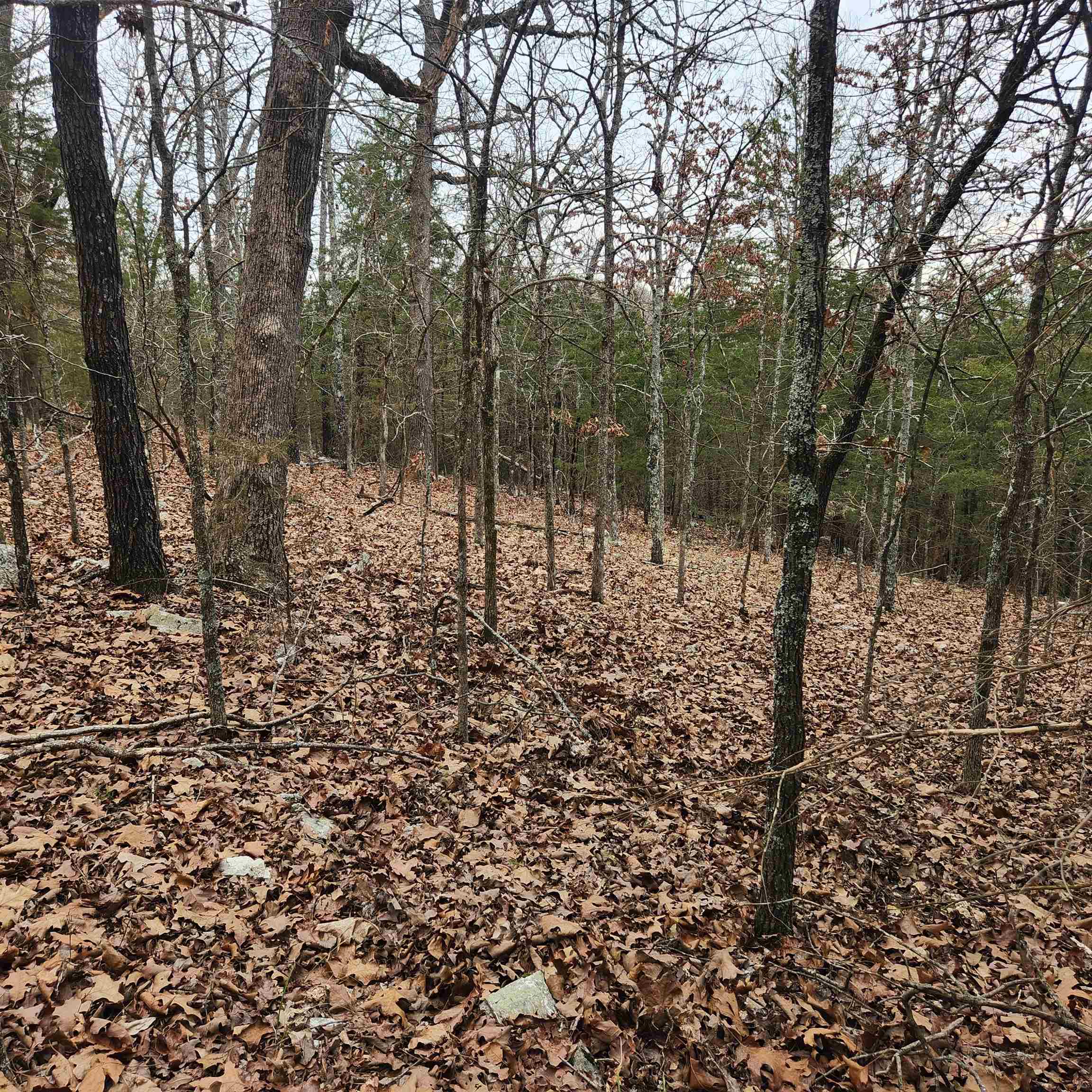 Photo 13 - Vacant Land for sale – L-8, B-3  Kee   Hardy, AR