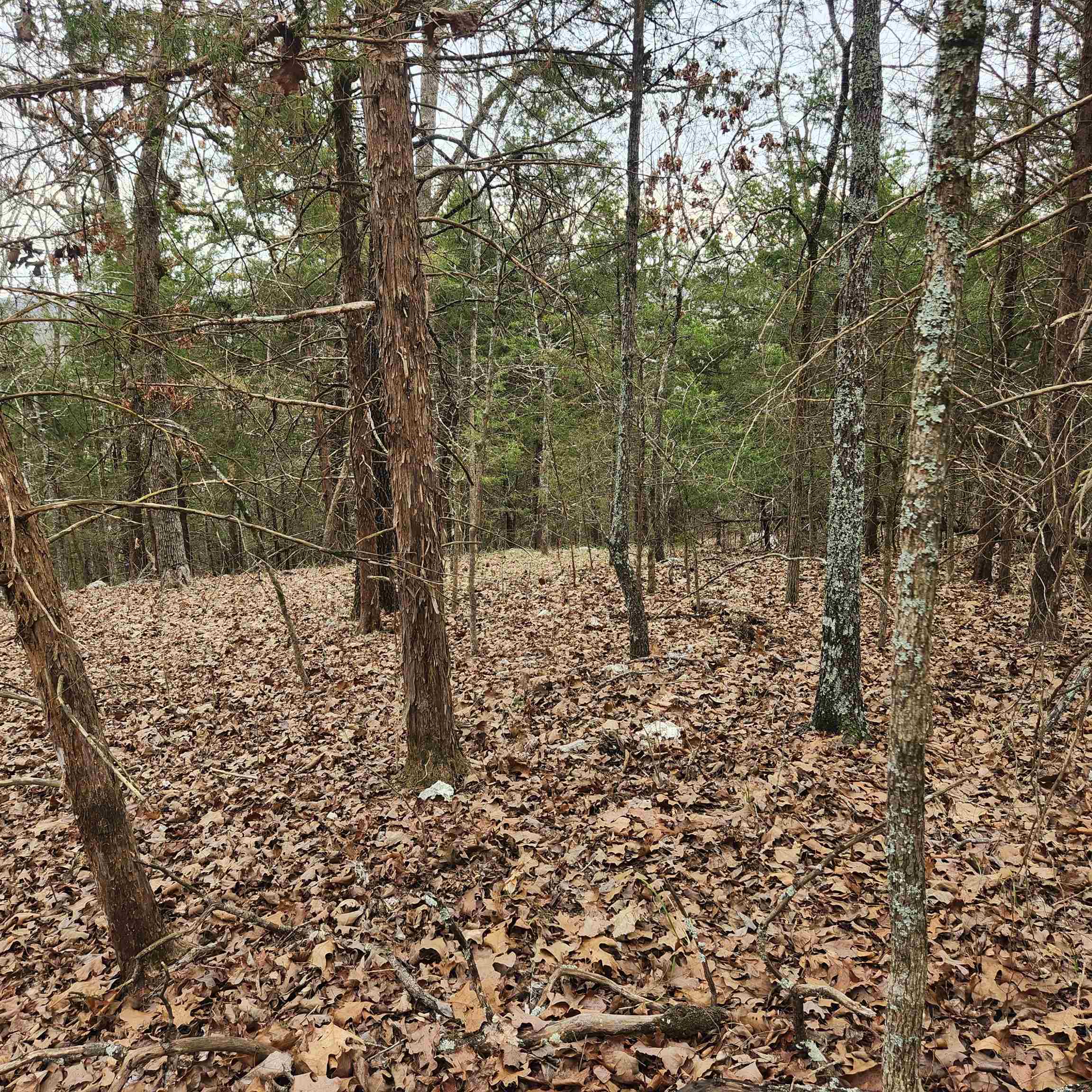 Photo 14 - Vacant Land for sale – L-8, B-3  Kee   Hardy, AR