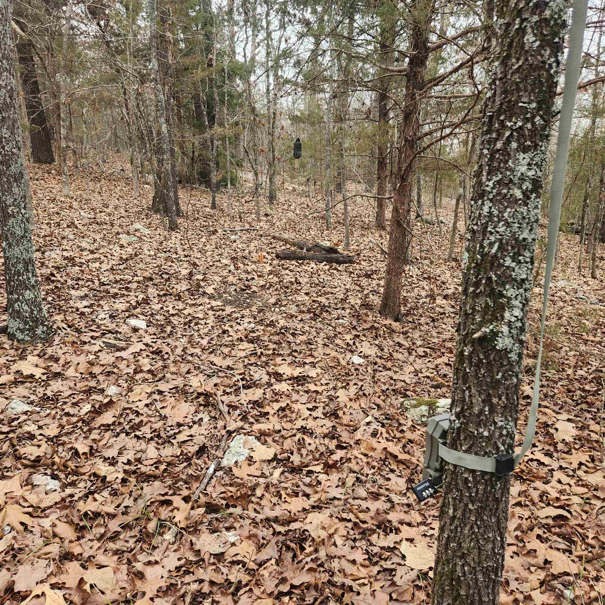 Photo 15 - Vacant Land for sale – L-8, B-3  Kee   Hardy, AR