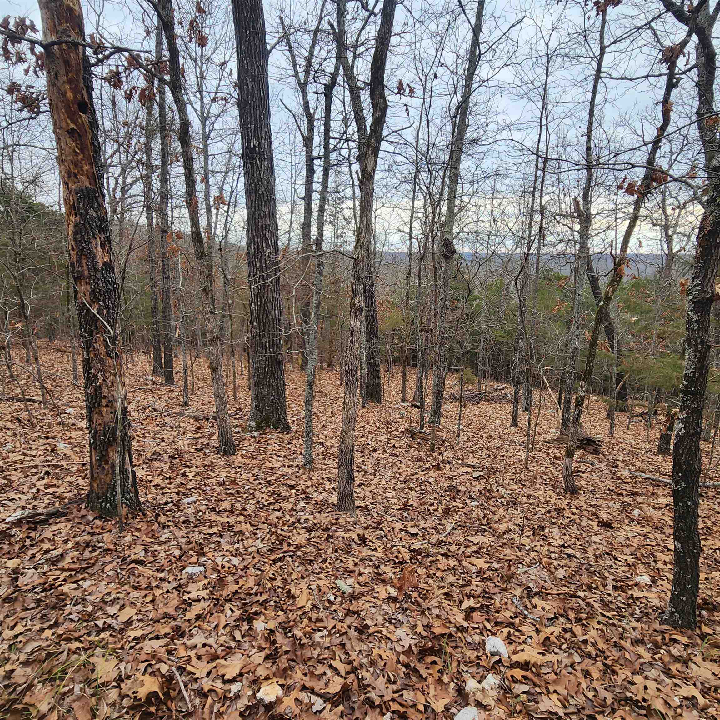 Photo 16 - Vacant Land for sale – L-8, B-3  Kee   Hardy, AR