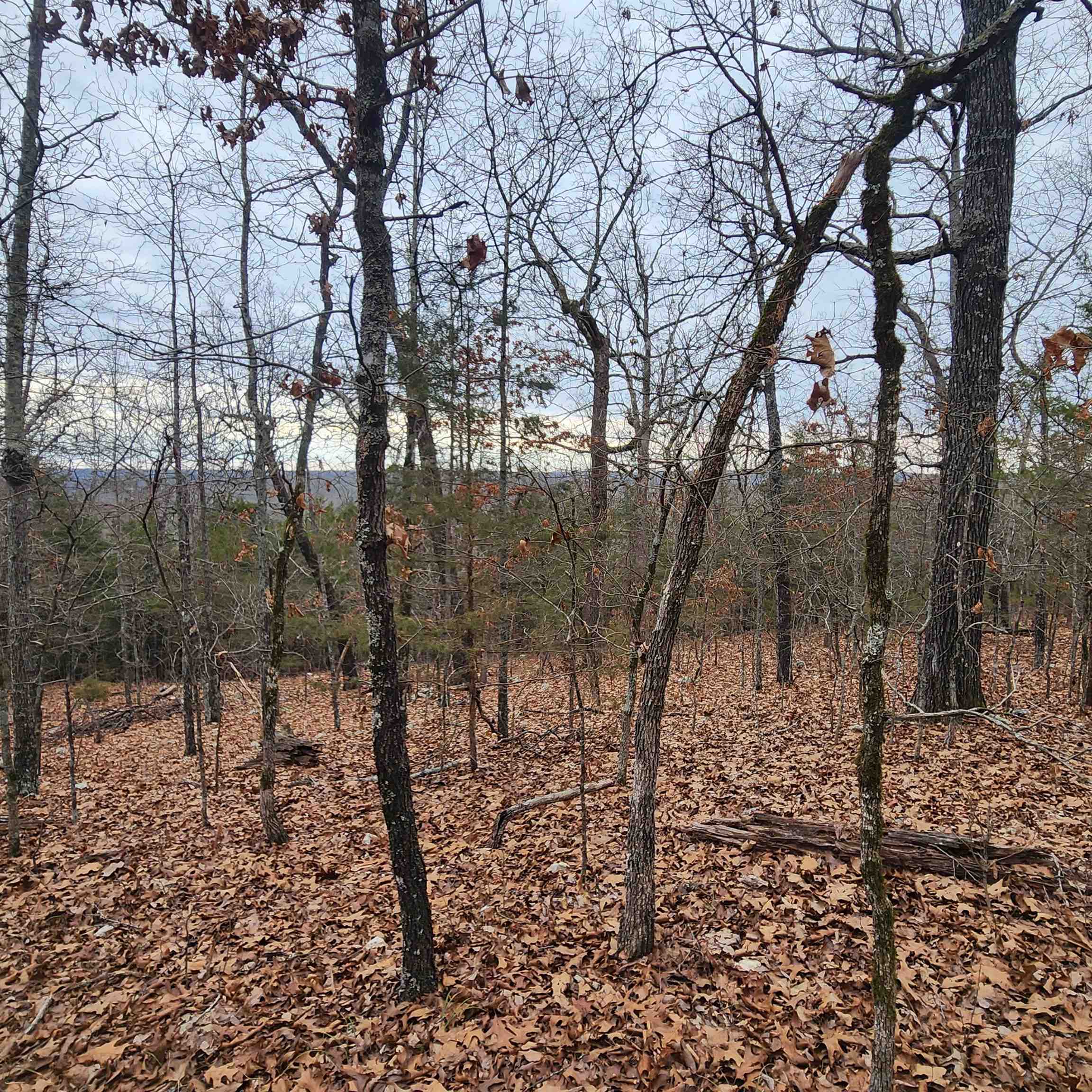 Photo 17 - Vacant Land for sale – L-8, B-3  Kee   Hardy, AR