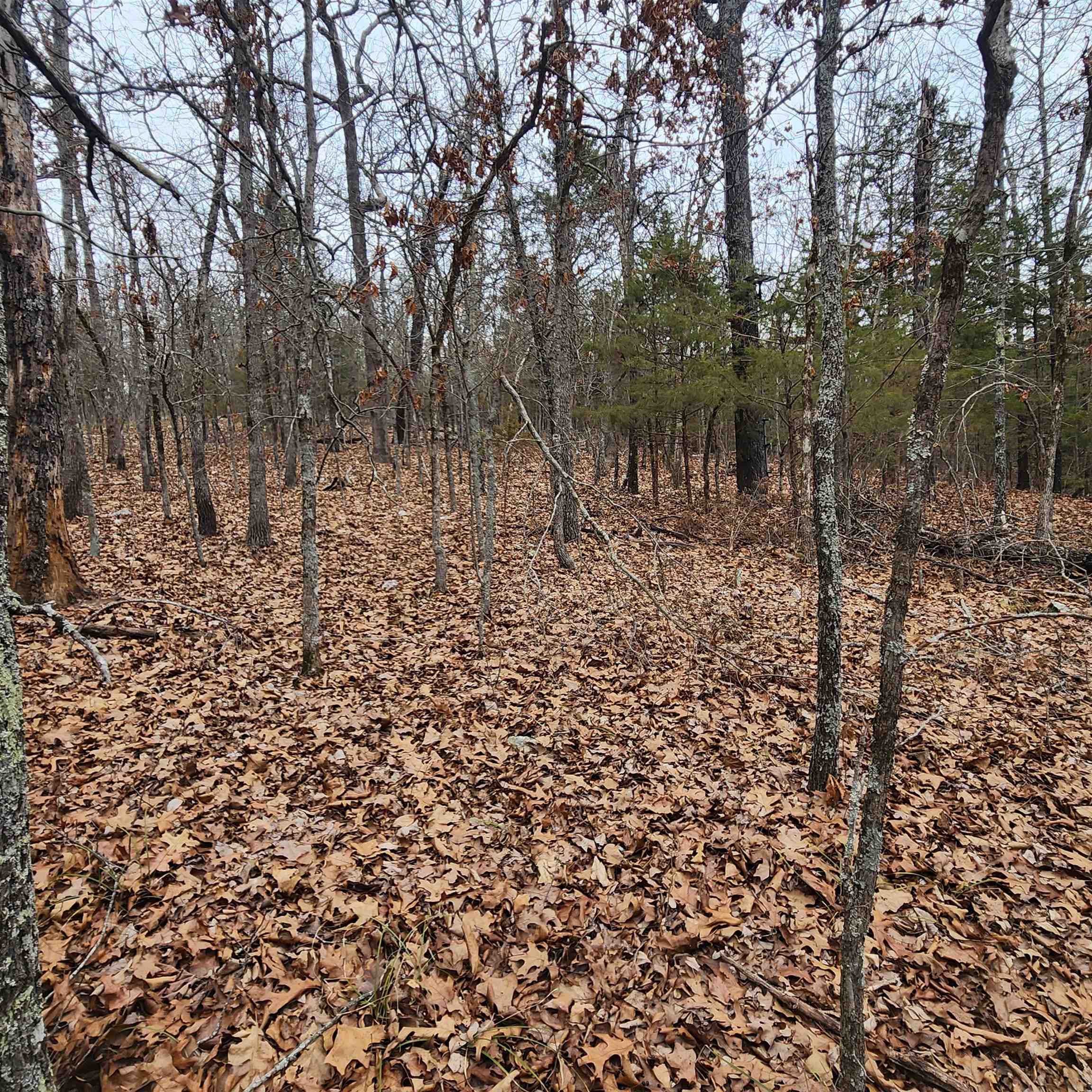 Photo 18 - Vacant Land for sale – L-8, B-3  Kee   Hardy, AR
