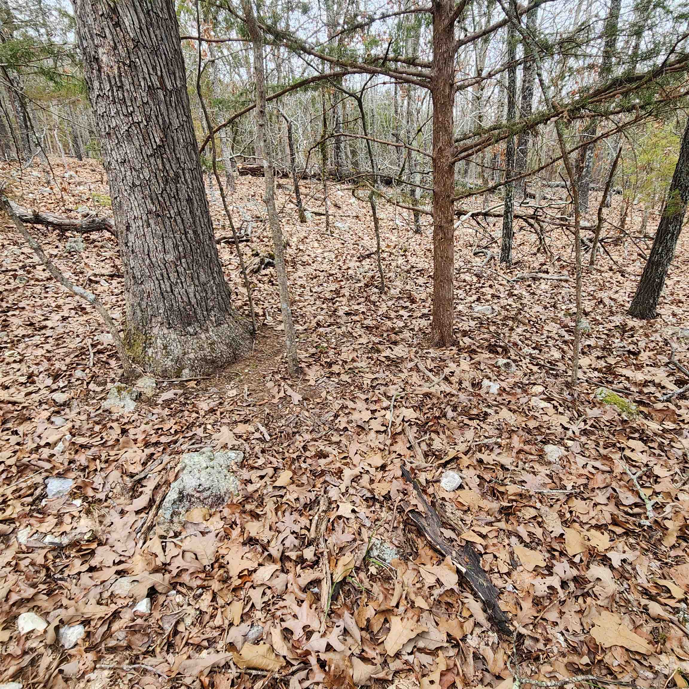 Photo 21 - Vacant Land for sale – L-8, B-3  Kee   Hardy, AR