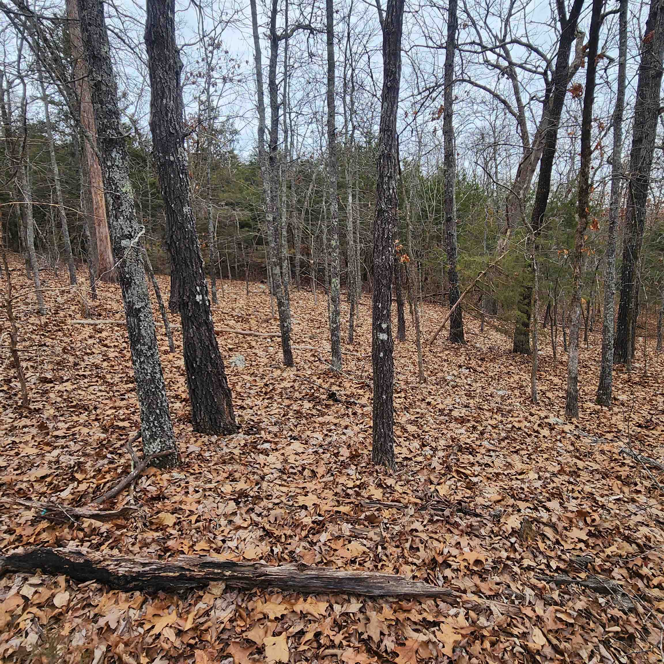Photo 22 - Vacant Land for sale – L-8, B-3  Kee   Hardy, AR
