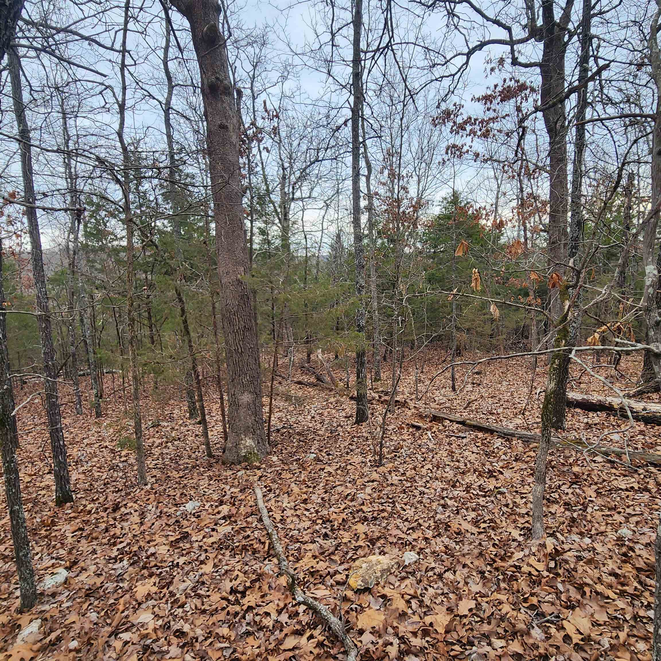 Photo 23 - Vacant Land for sale – L-8, B-3  Kee   Hardy, AR
