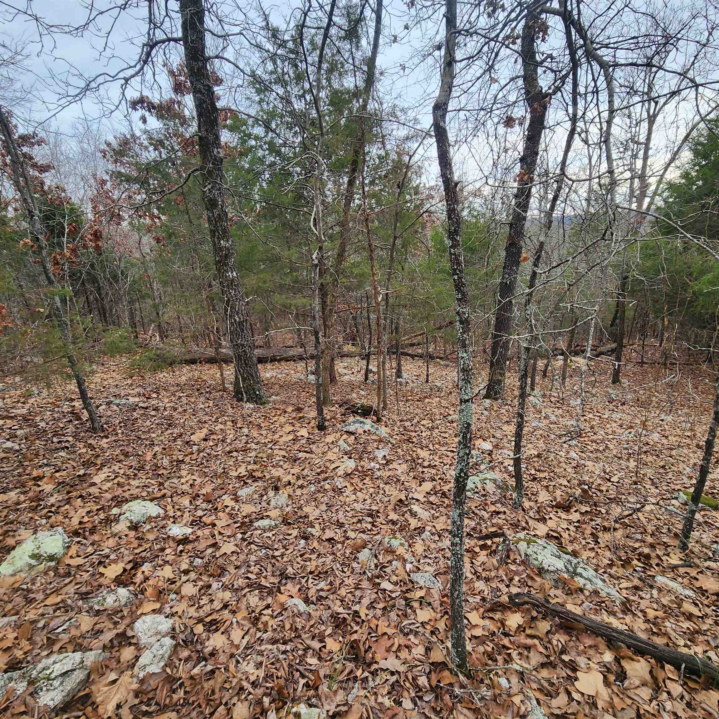Photo 24 - Vacant Land for sale – L-8, B-3  Kee   Hardy, AR