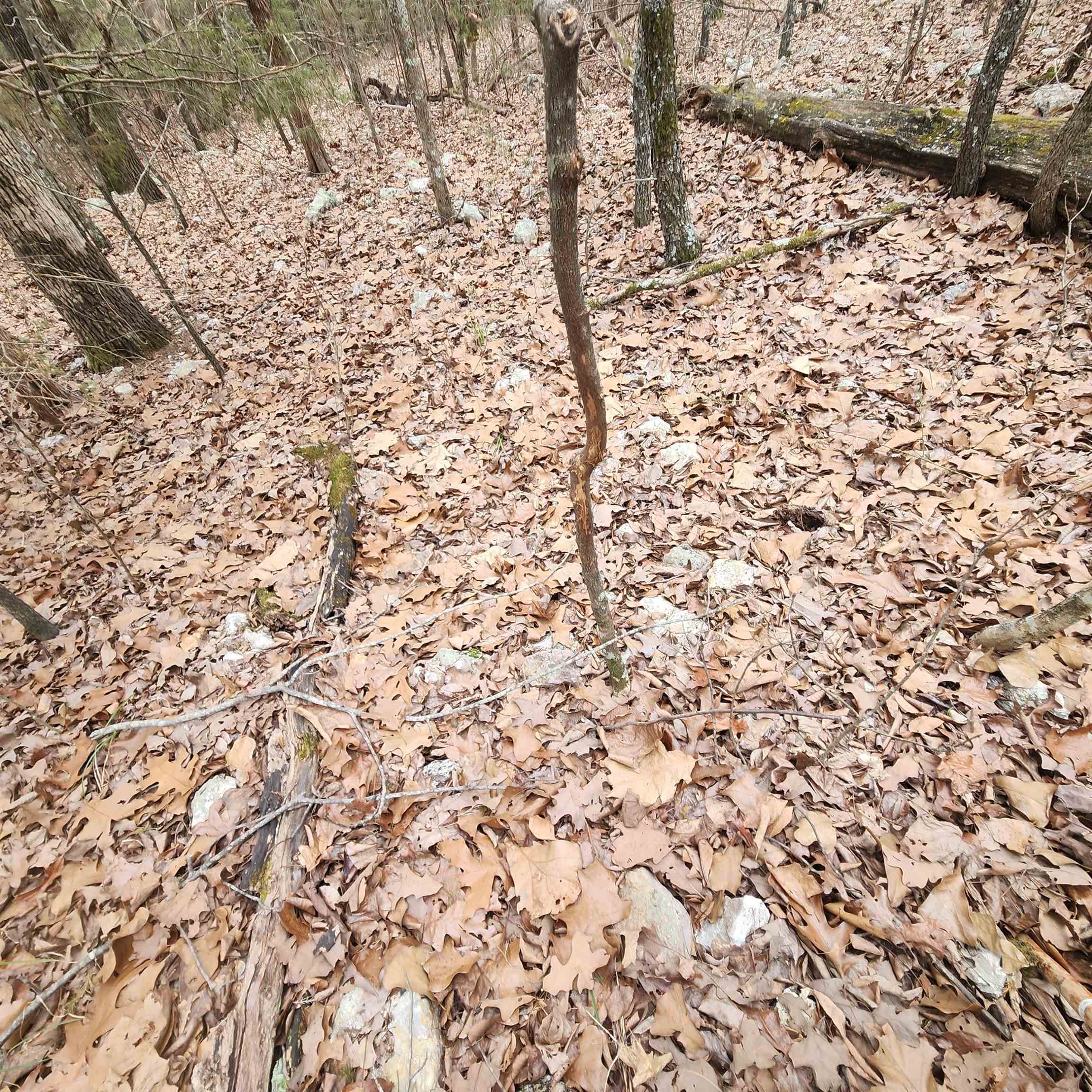 Photo 25 - Vacant Land for sale – L-8, B-3  Kee   Hardy, AR