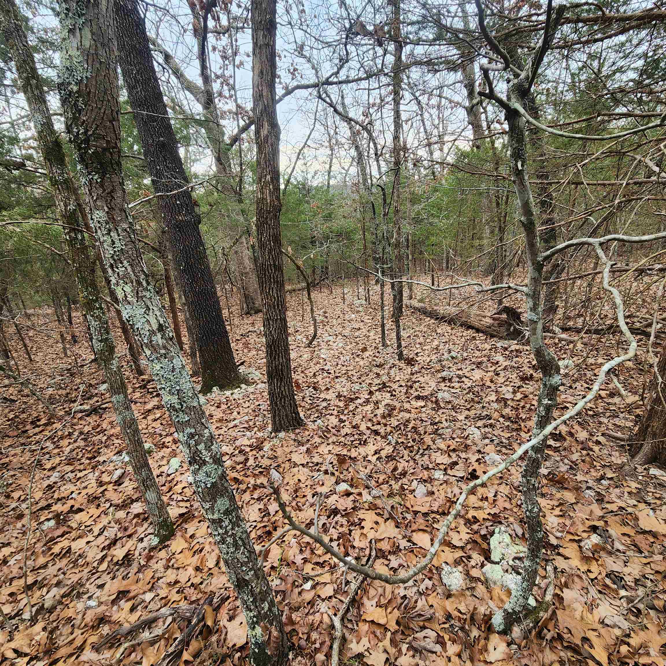 Photo 26 - Vacant Land for sale – L-8, B-3  Kee   Hardy, AR