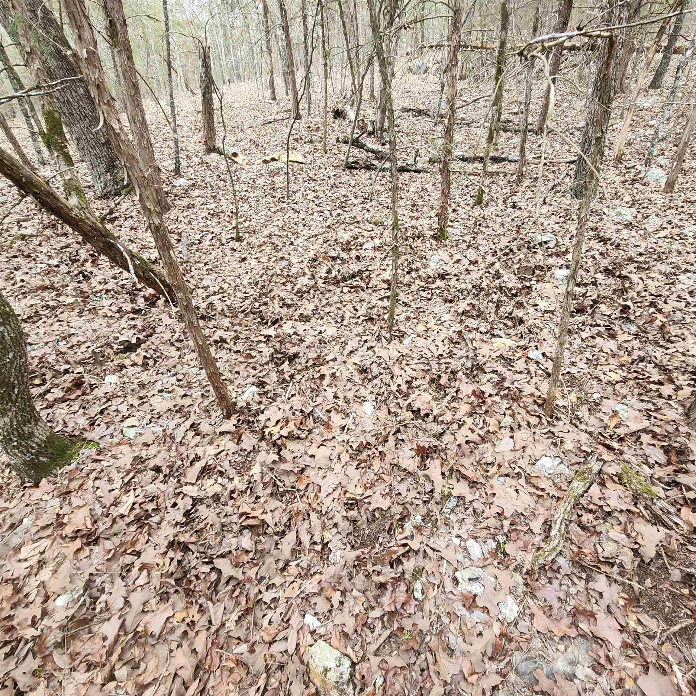 Photo 27 - Vacant Land for sale – L-8, B-3  Kee   Hardy, AR
