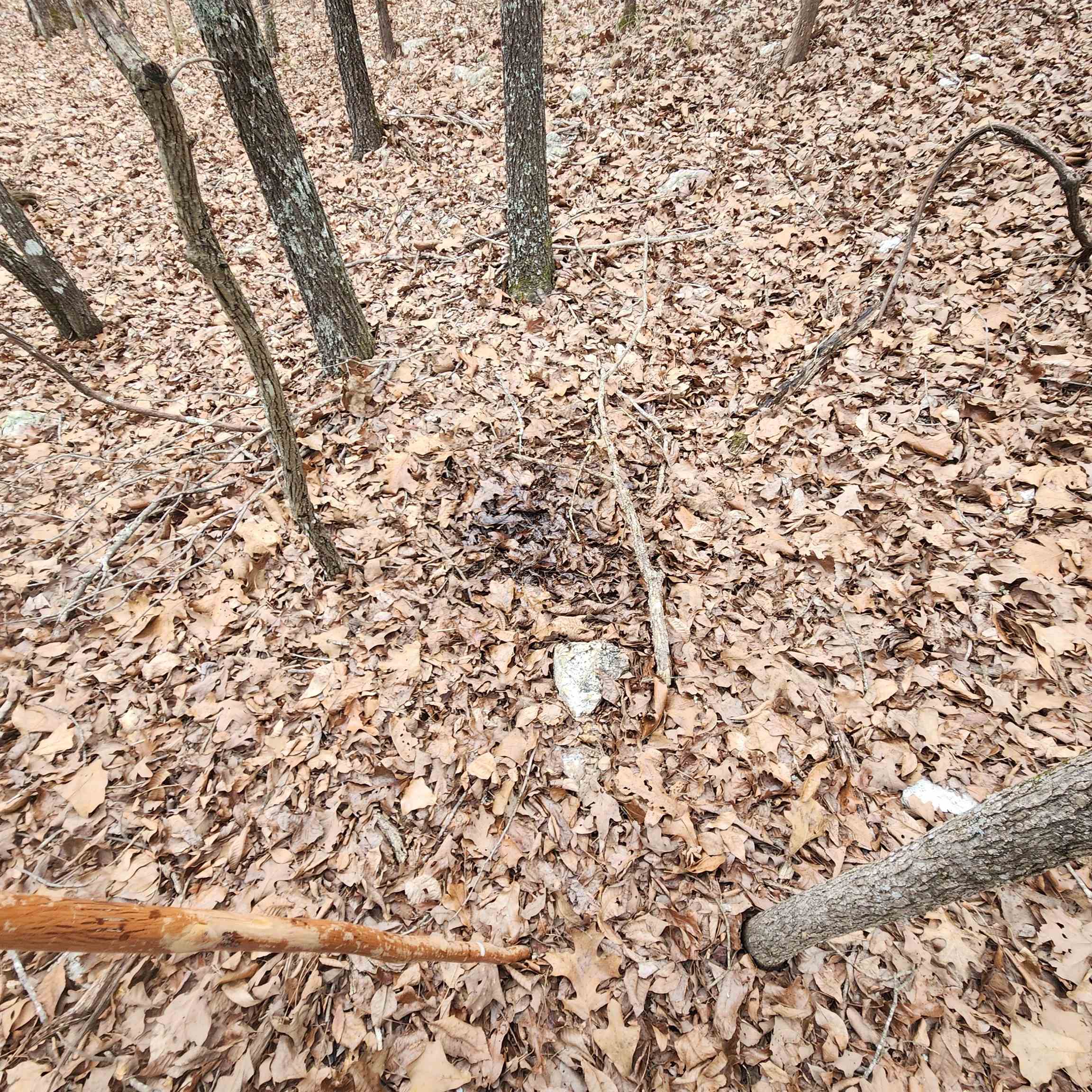 Photo 28 - Vacant Land for sale – L-8, B-3  Kee   Hardy, AR