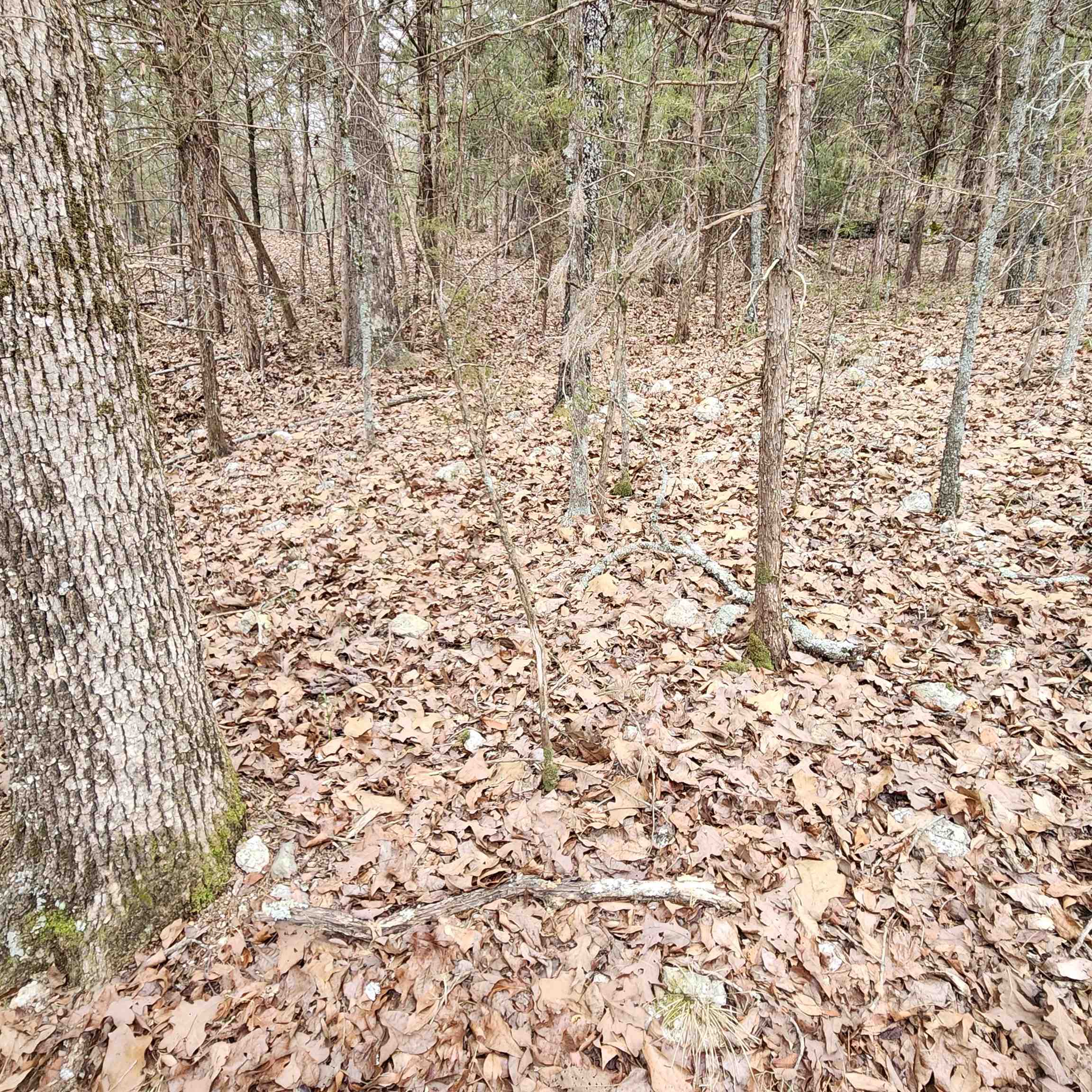 Photo 30 - Vacant Land for sale – L-8, B-3  Kee   Hardy, AR