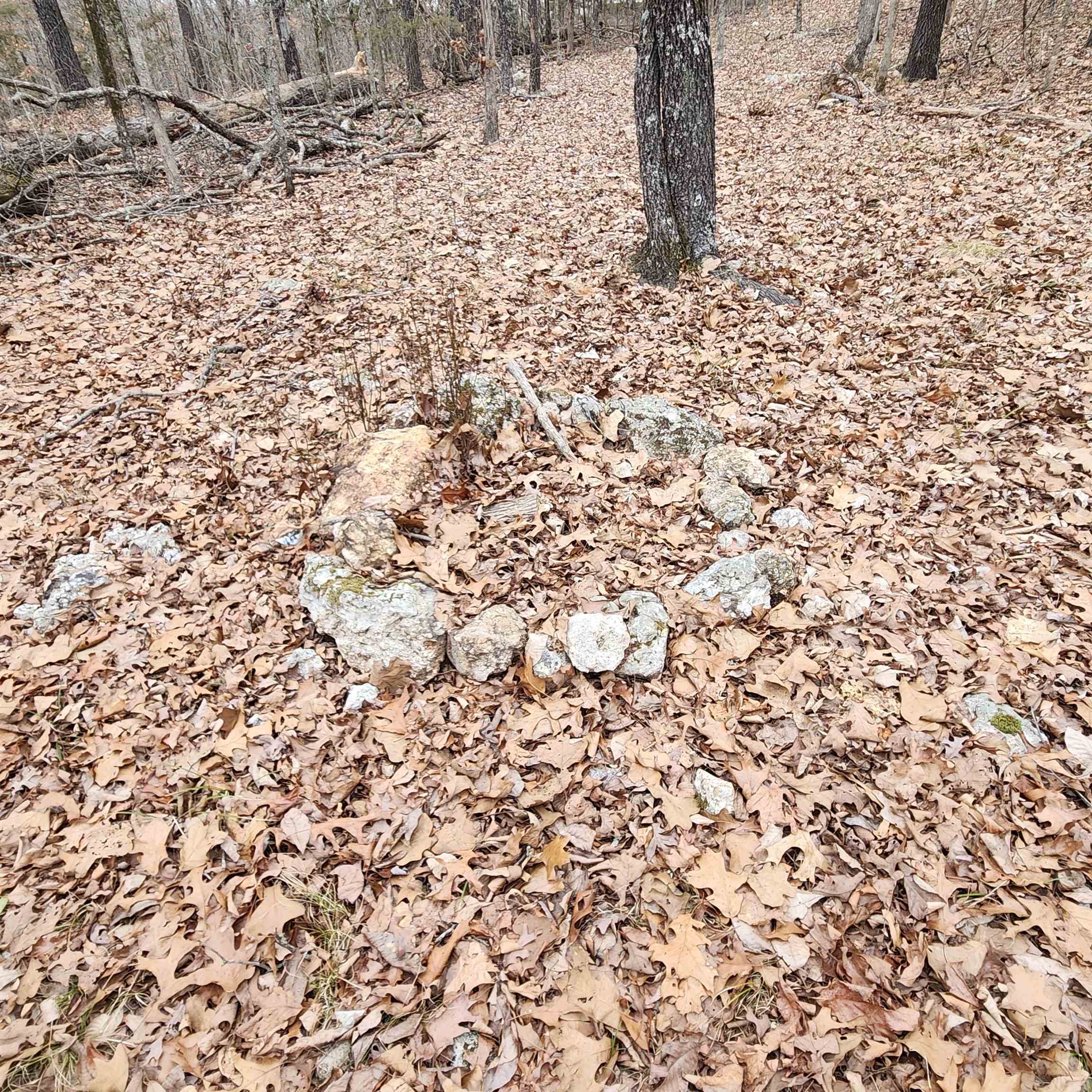 Photo 4 - Vacant Land for sale – L-8, B-3  Kee   Hardy, AR