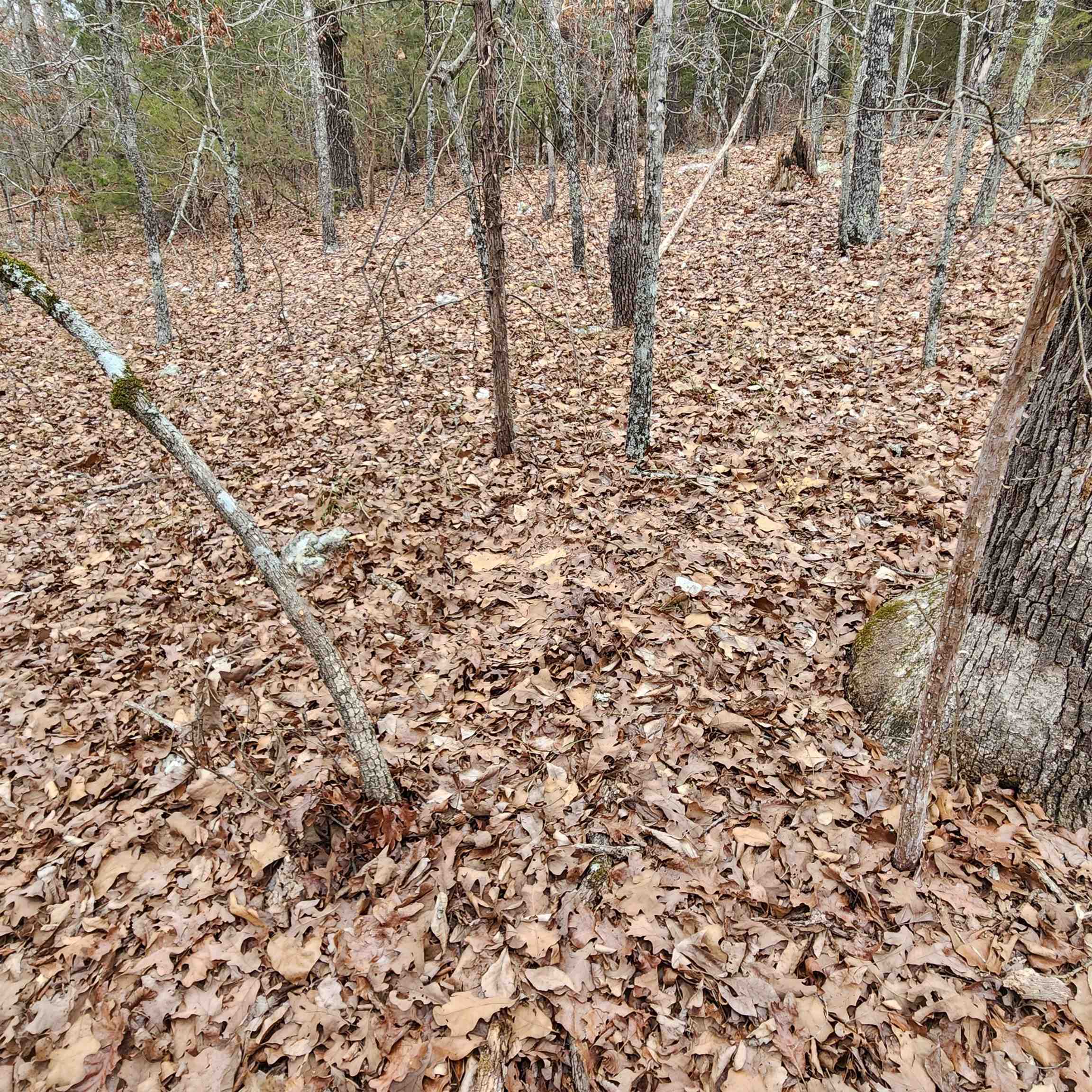 Photo 31 - Vacant Land for sale – L-8, B-3  Kee   Hardy, AR