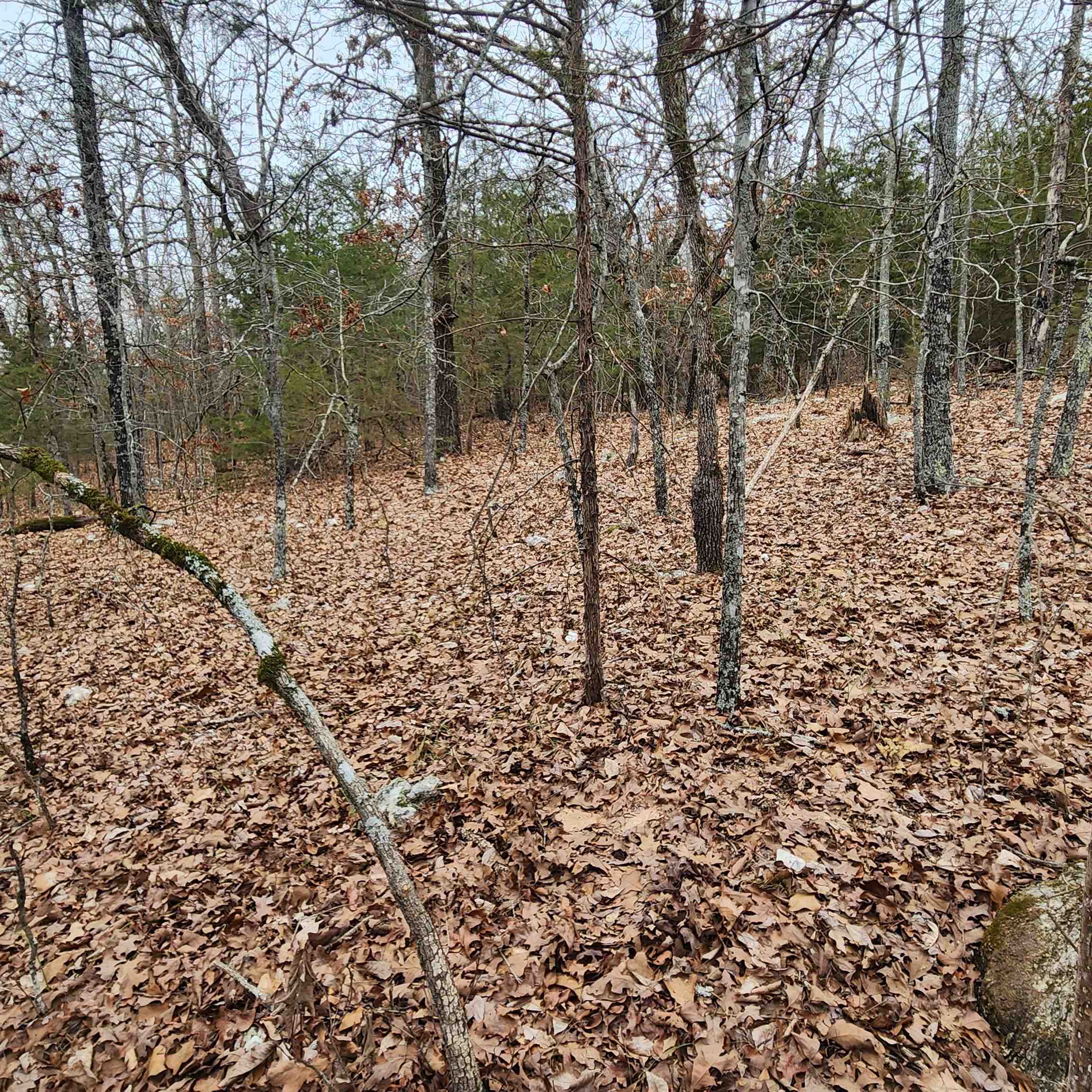 Photo 32 - Vacant Land for sale – L-8, B-3  Kee   Hardy, AR
