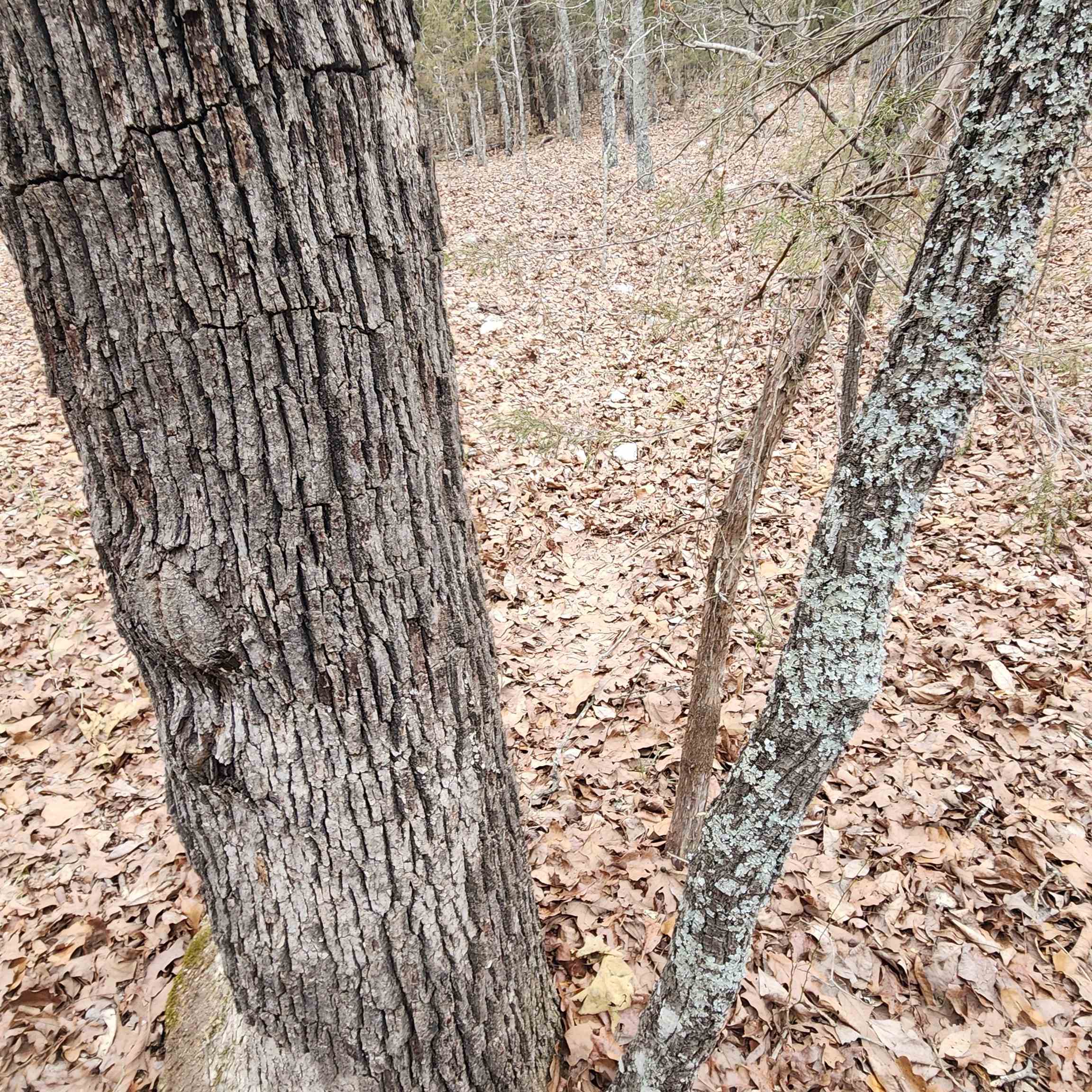 Photo 33 - Vacant Land for sale – L-8, B-3  Kee   Hardy, AR