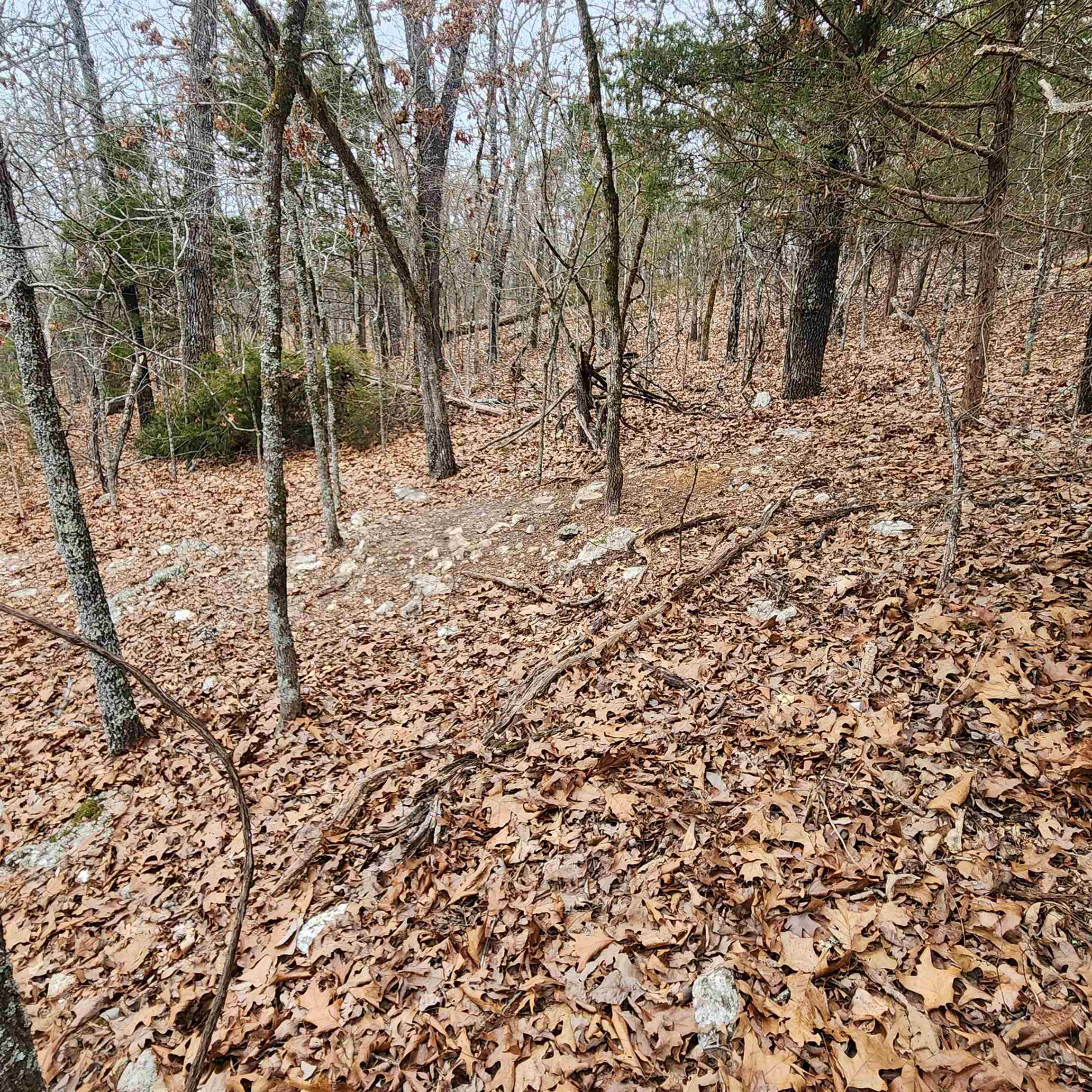 Photo 34 - Vacant Land for sale – L-8, B-3  Kee   Hardy, AR