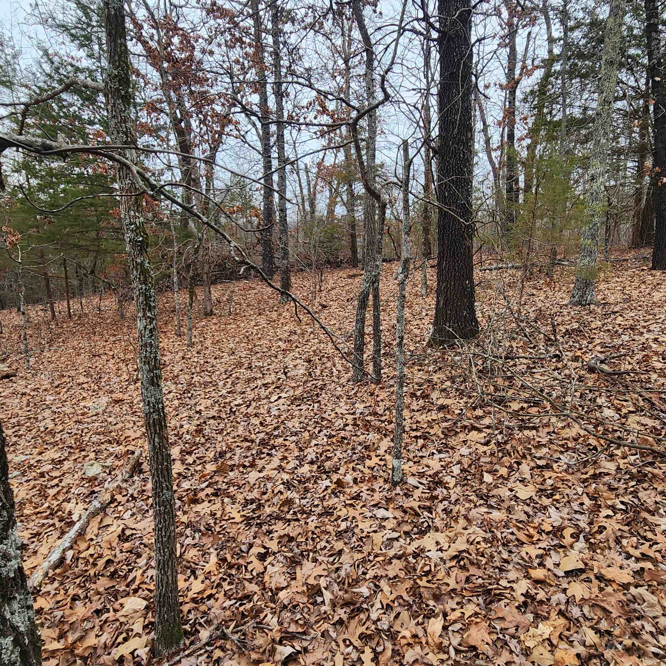 Photo 35 - Vacant Land for sale – L-8, B-3  Kee   Hardy, AR