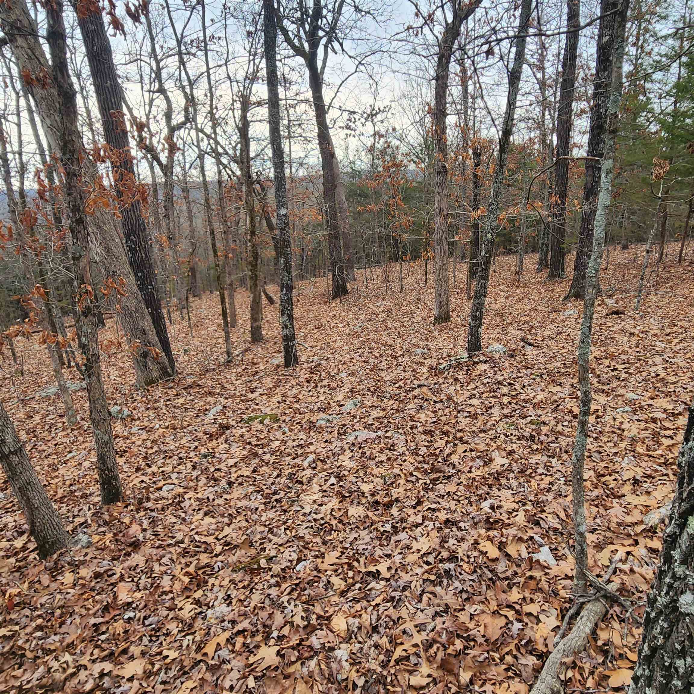 Photo 36 - Vacant Land for sale – L-8, B-3  Kee   Hardy, AR