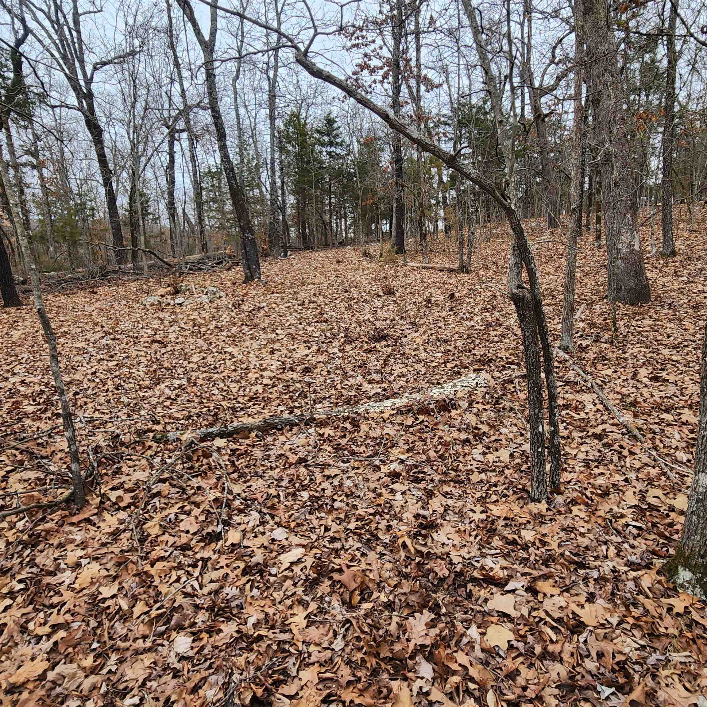 Photo 37 - Vacant Land for sale – L-8, B-3  Kee   Hardy, AR