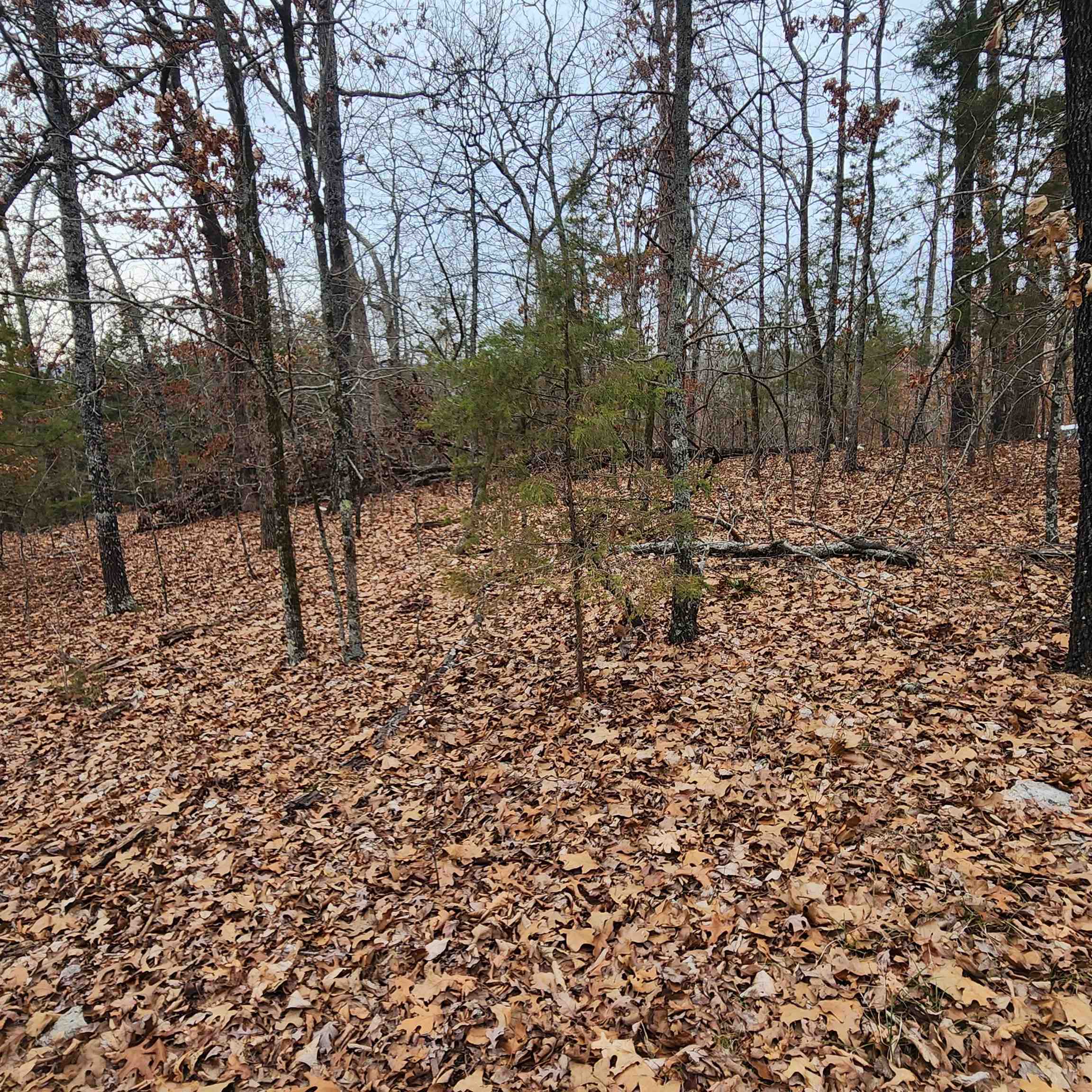 Photo 38 - Vacant Land for sale – L-8, B-3  Kee   Hardy, AR