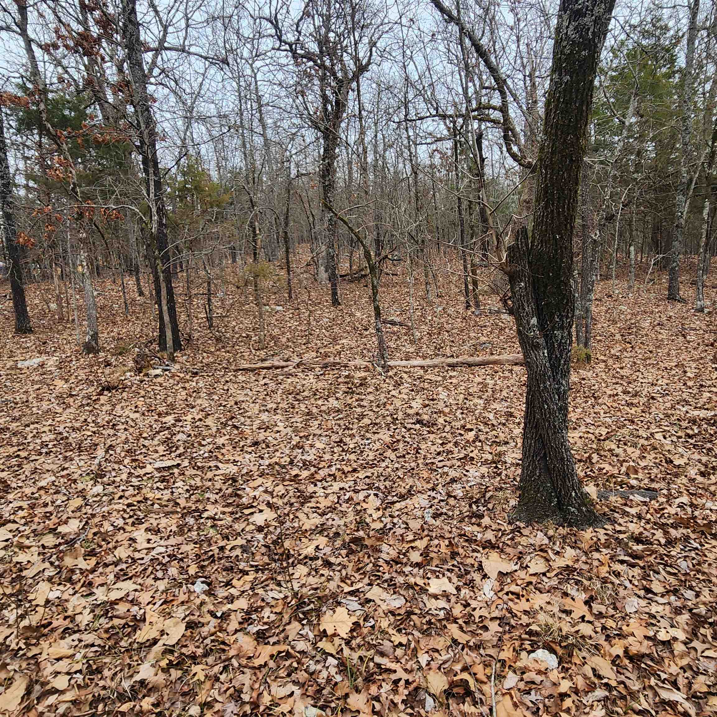 Photo 39 - Vacant Land for sale – L-8, B-3  Kee   Hardy, AR