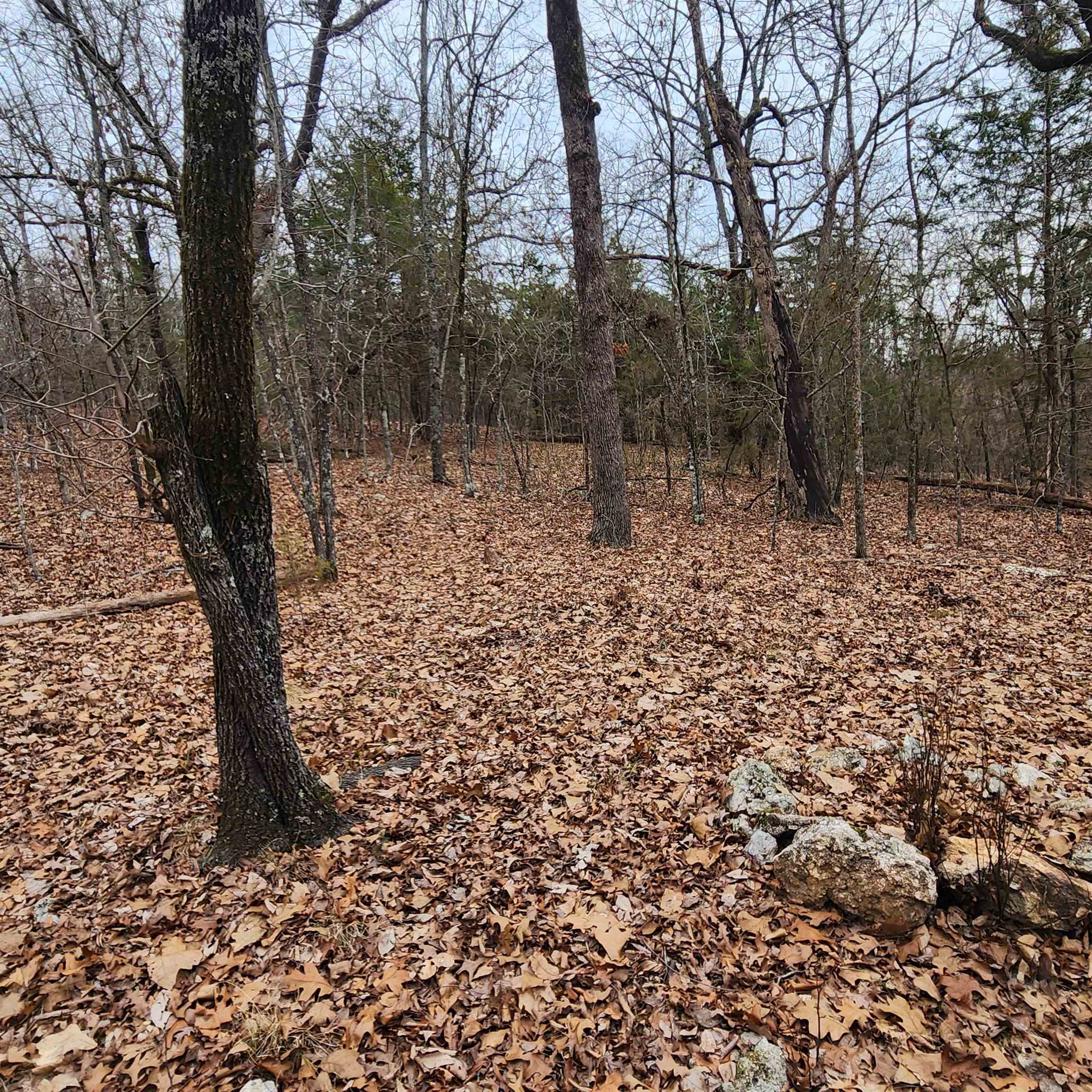 Photo 40 - Vacant Land for sale – L-8, B-3  Kee   Hardy, AR