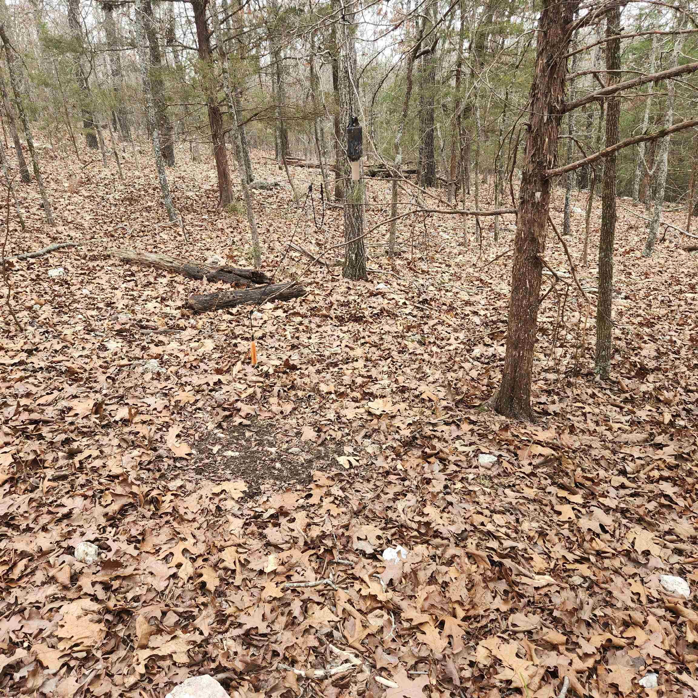 Photo 5 - Vacant Land for sale – L-8, B-3  Kee   Hardy, AR