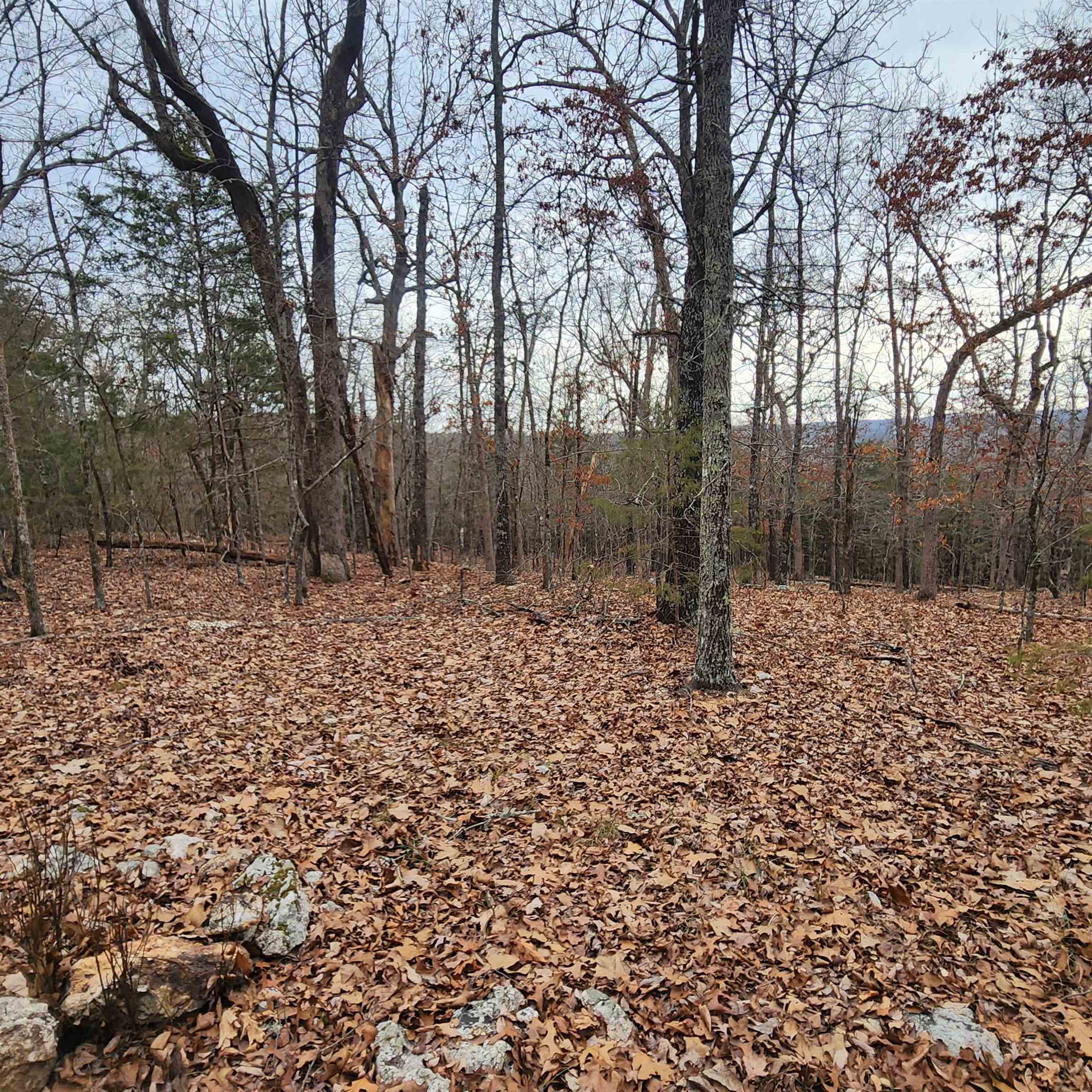 Photo 41 - Vacant Land for sale – L-8, B-3  Kee   Hardy, AR