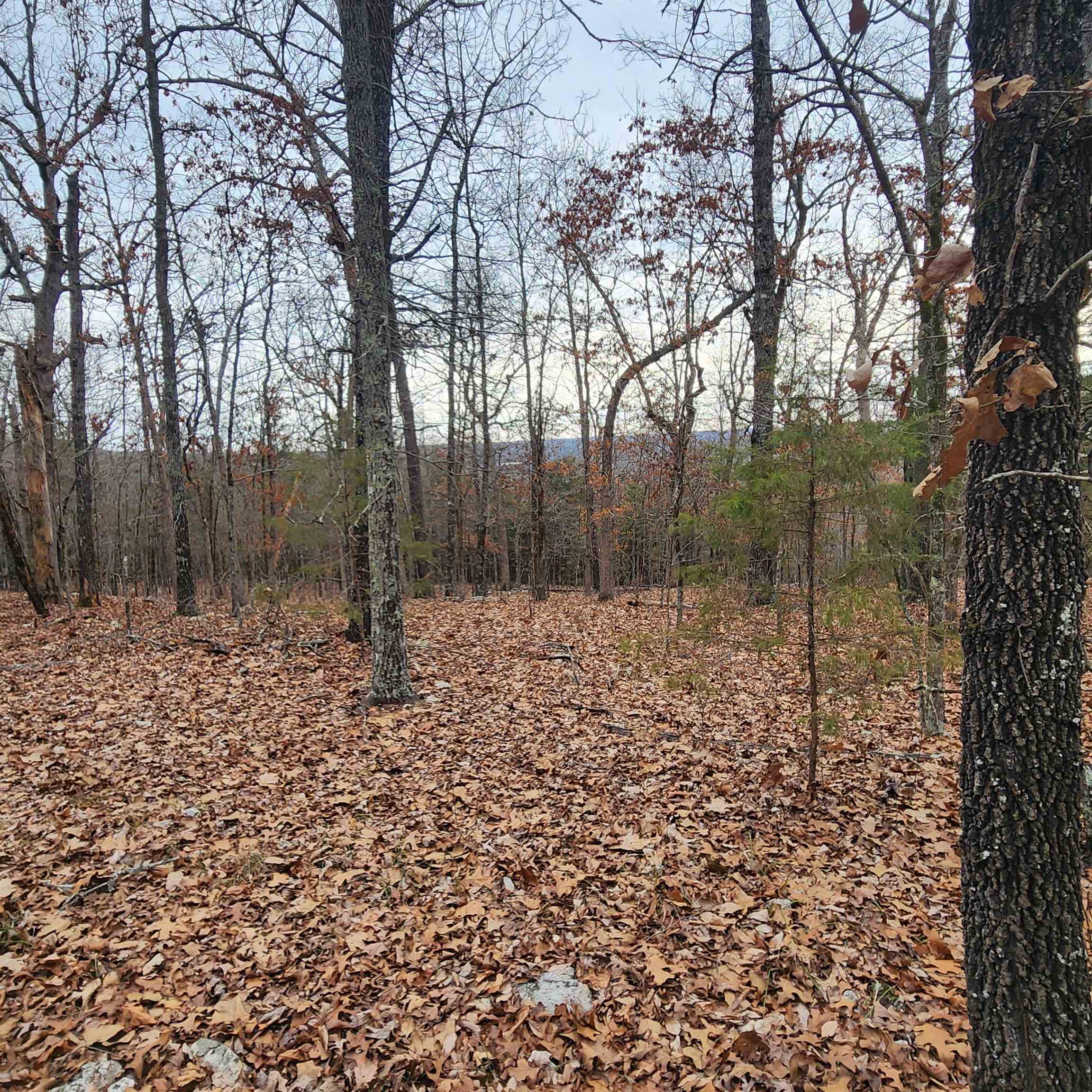 Photo 42 - Vacant Land for sale – L-8, B-3  Kee   Hardy, AR