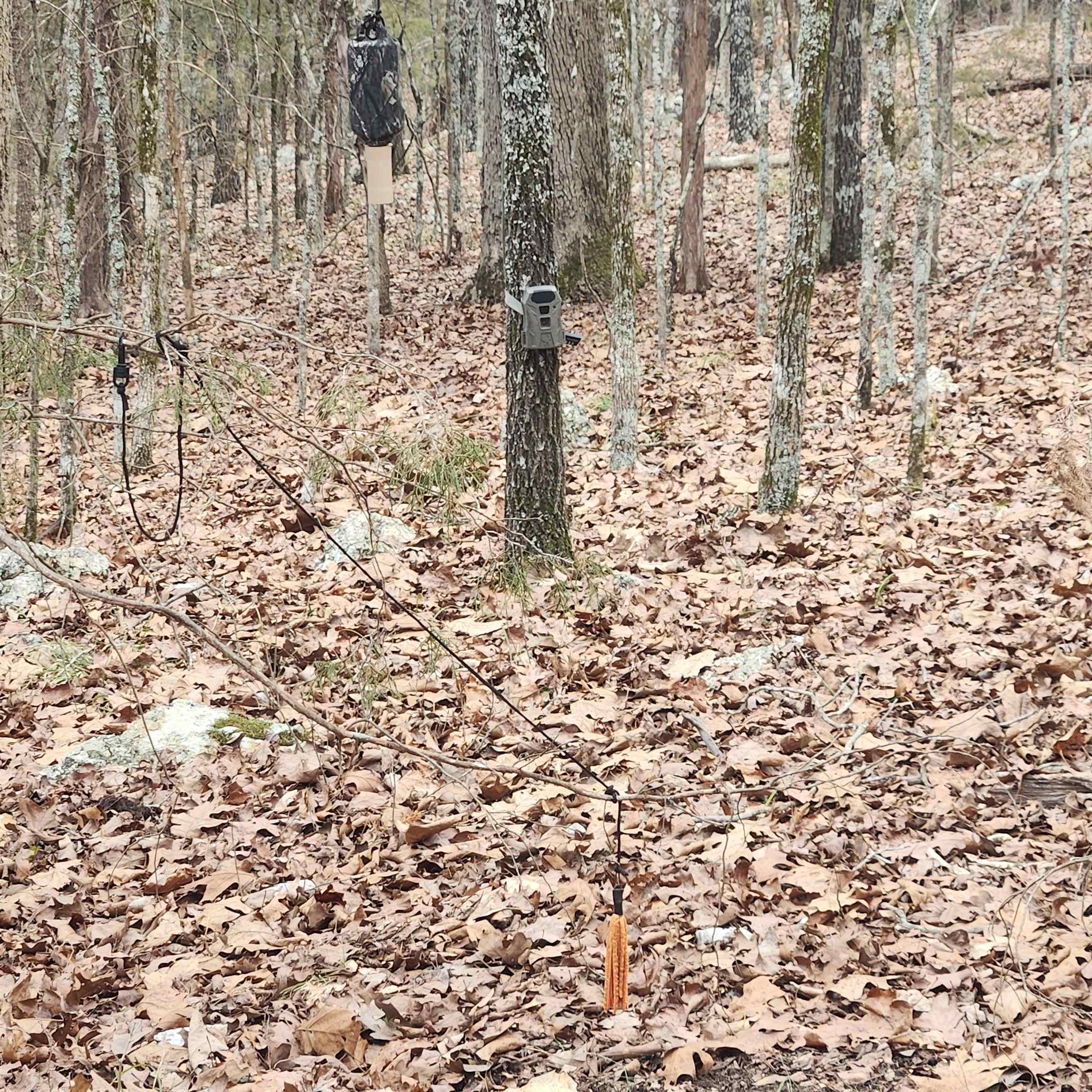 Photo 6 - Vacant Land for sale – L-8, B-3  Kee   Hardy, AR