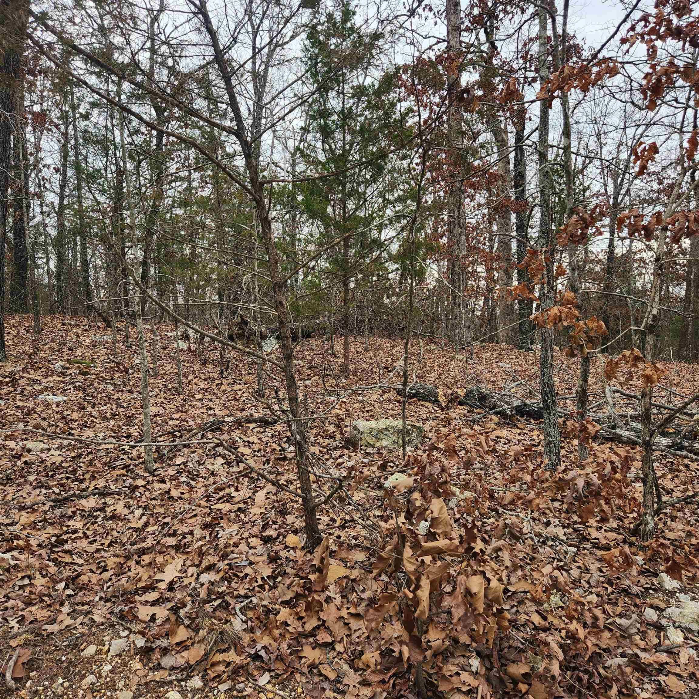 Photo 7 - Vacant Land for sale – L-8, B-3  Kee   Hardy, AR