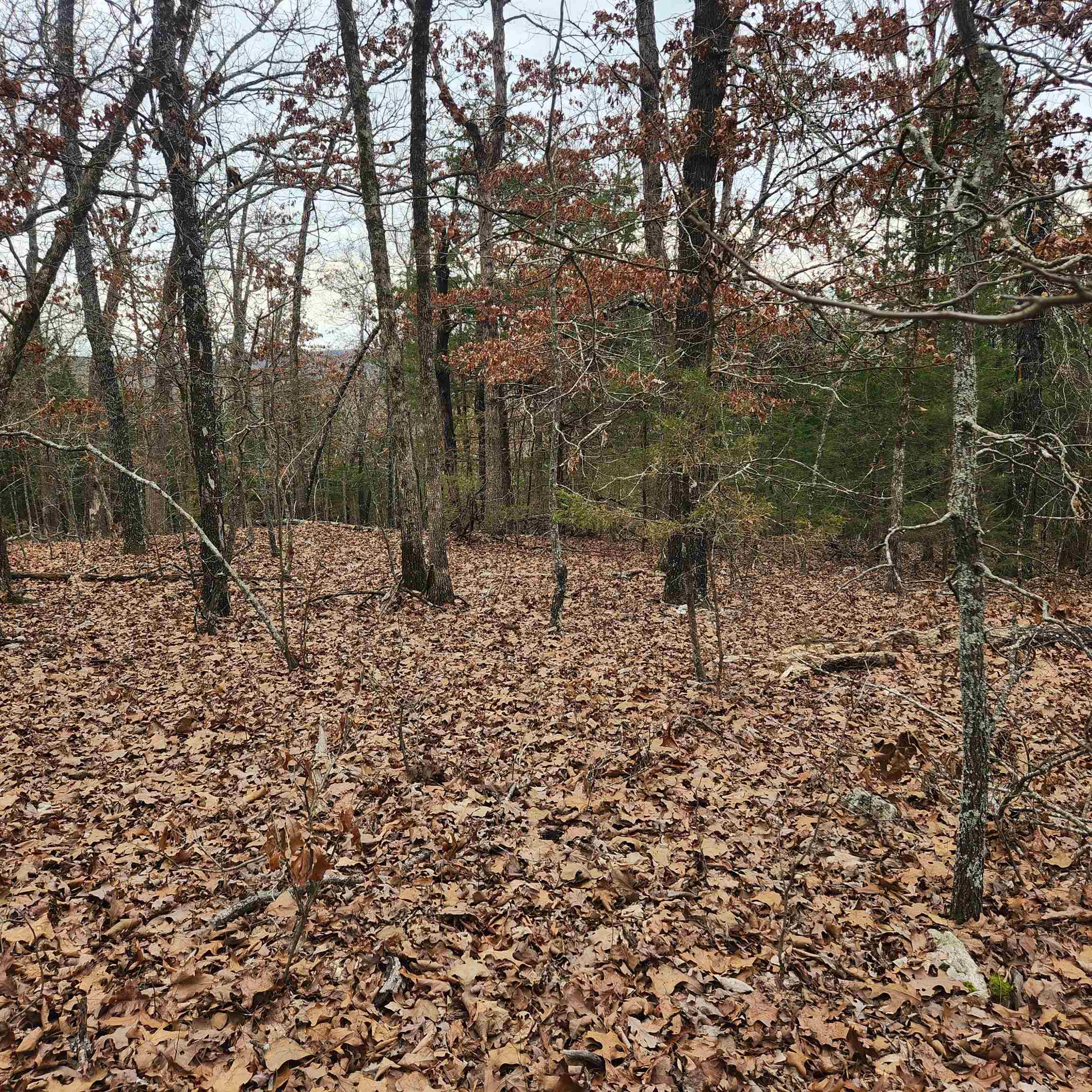 Photo 9 - Vacant Land for sale – L-8, B-3  Kee   Hardy, AR
