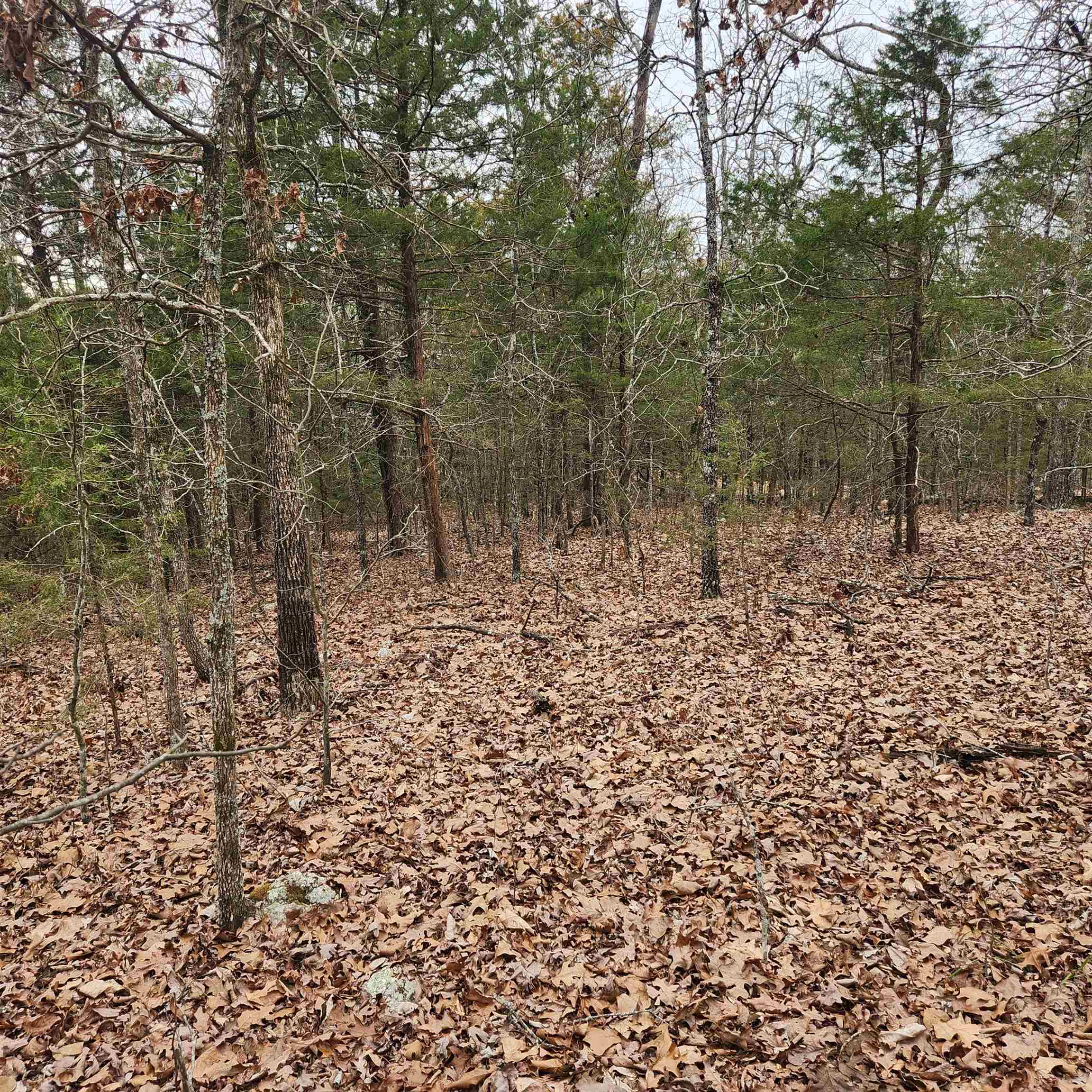Photo 10 - Vacant Land for sale – L-8, B-3  Kee   Hardy, AR