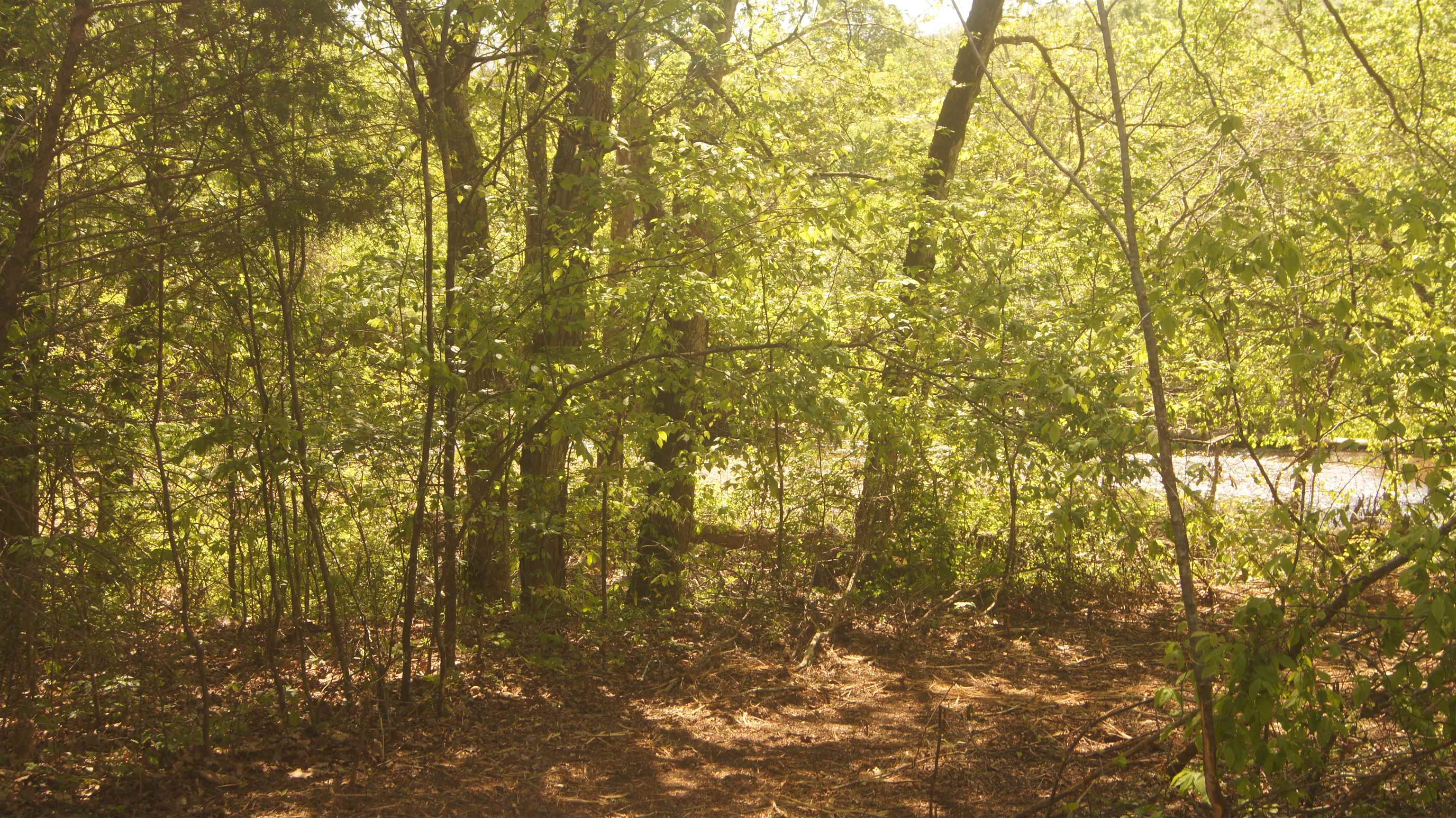 Vacant Land for sale – Lot 2  Booth Creek Road   Williford, AR