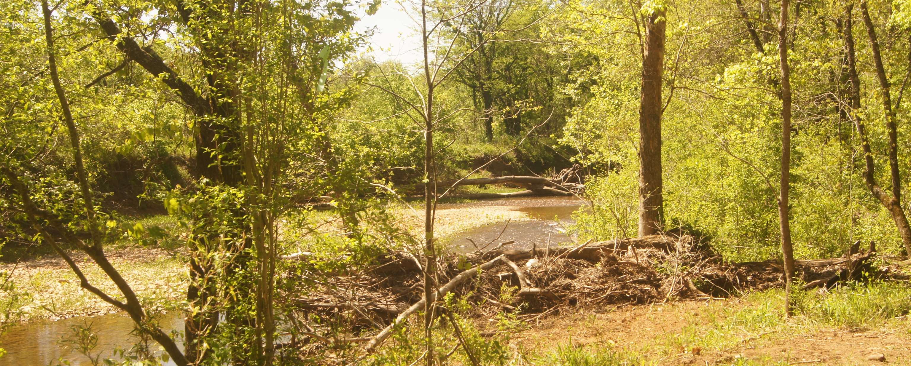 Photo 4 - Vacant Land for sale – Lot 2  Booth Creek Road   Williford, AR