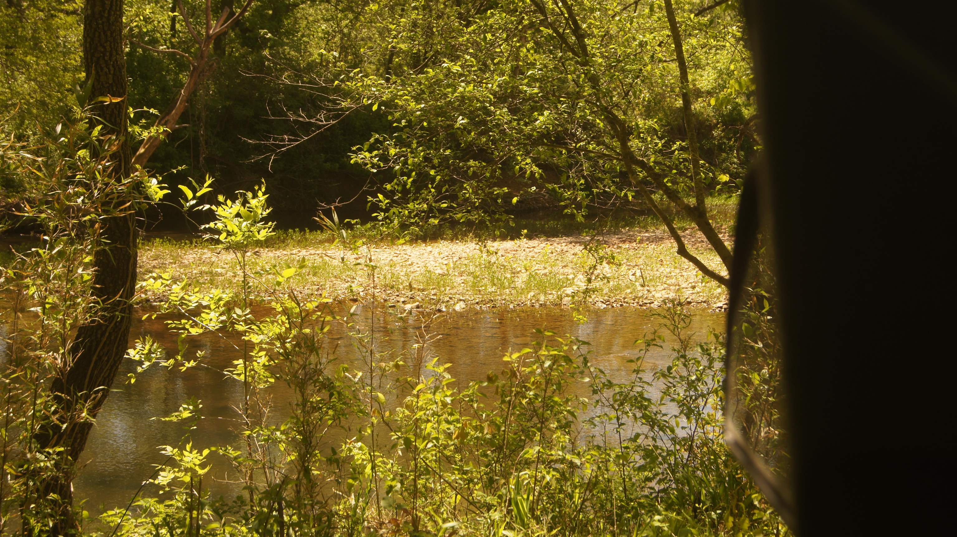 Photo 3 - Vacant Land for sale – Lot 3  Booth Creek Road   Williford, AR