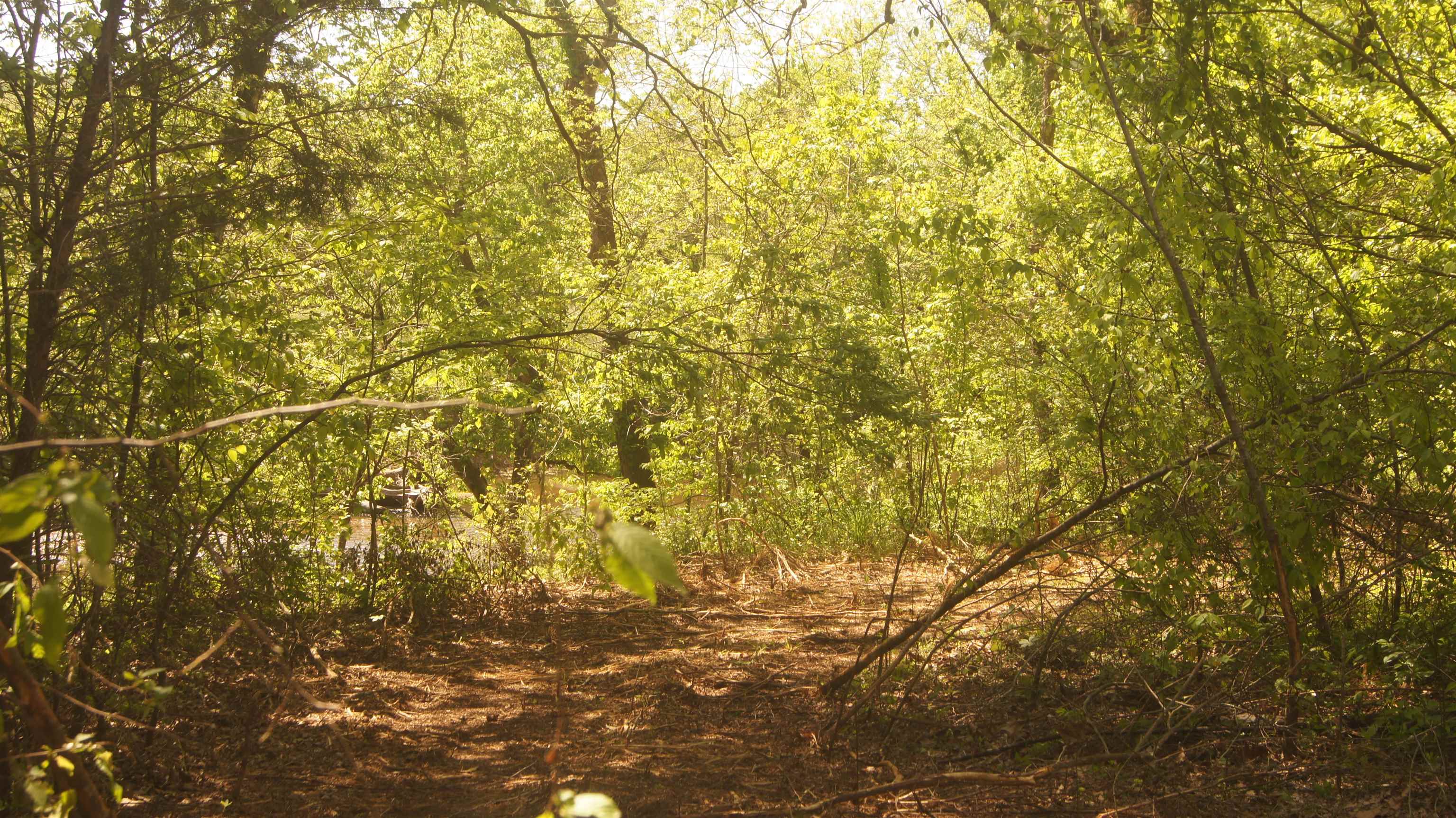 Photo 4 - Vacant Land for sale – Lot 3  Booth Creek Road   Williford, AR
