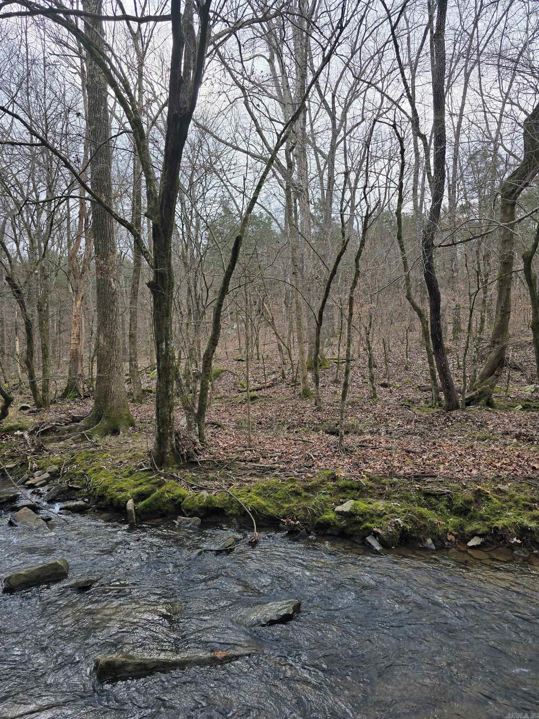 Photo 4 - Vacant Land for sale – 825, 909  Heber Springs Road   Batesville, AR
