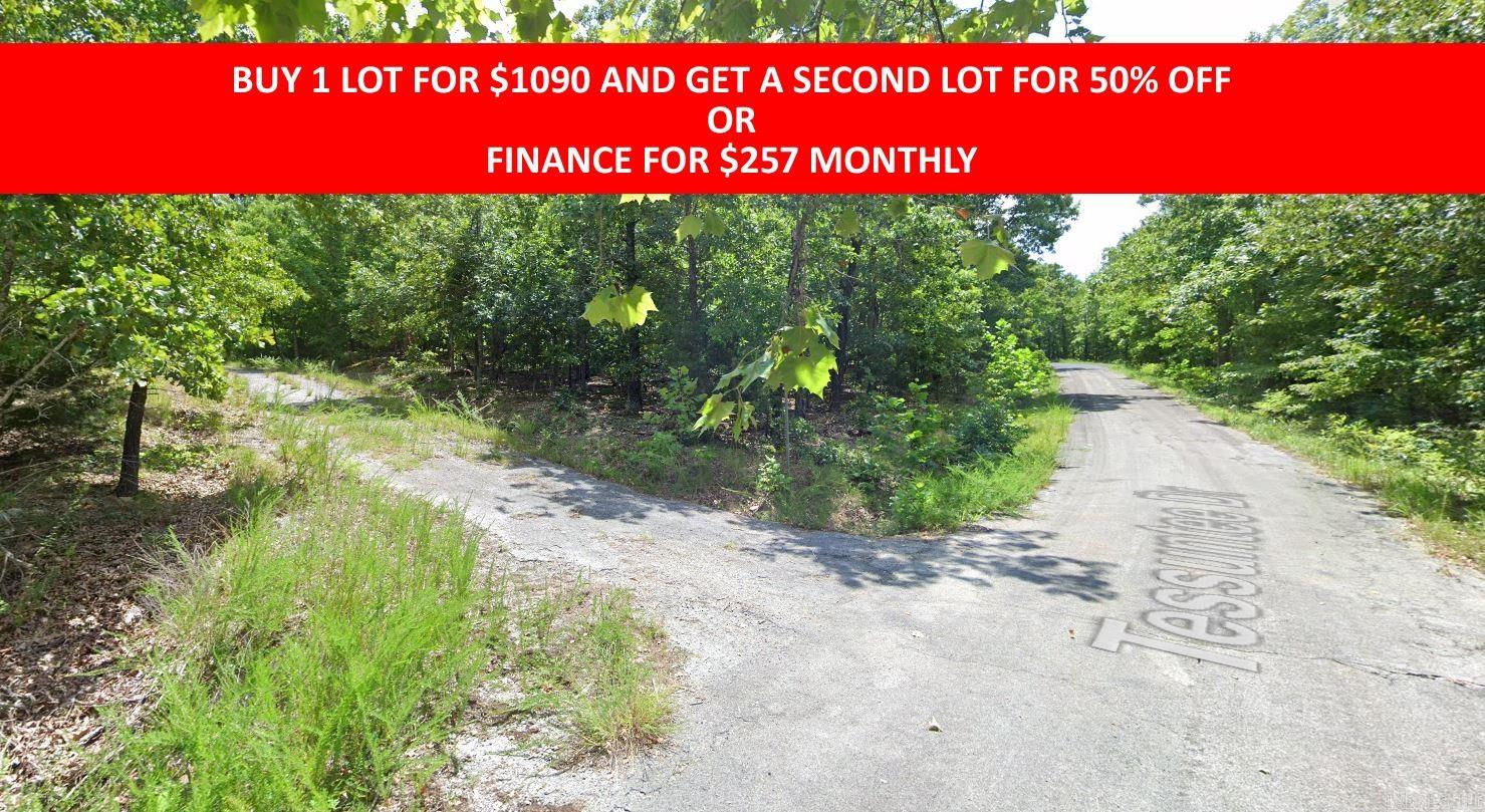 Vacant Land for sale – 0  WASHAKIE   Cherokee Village, AR